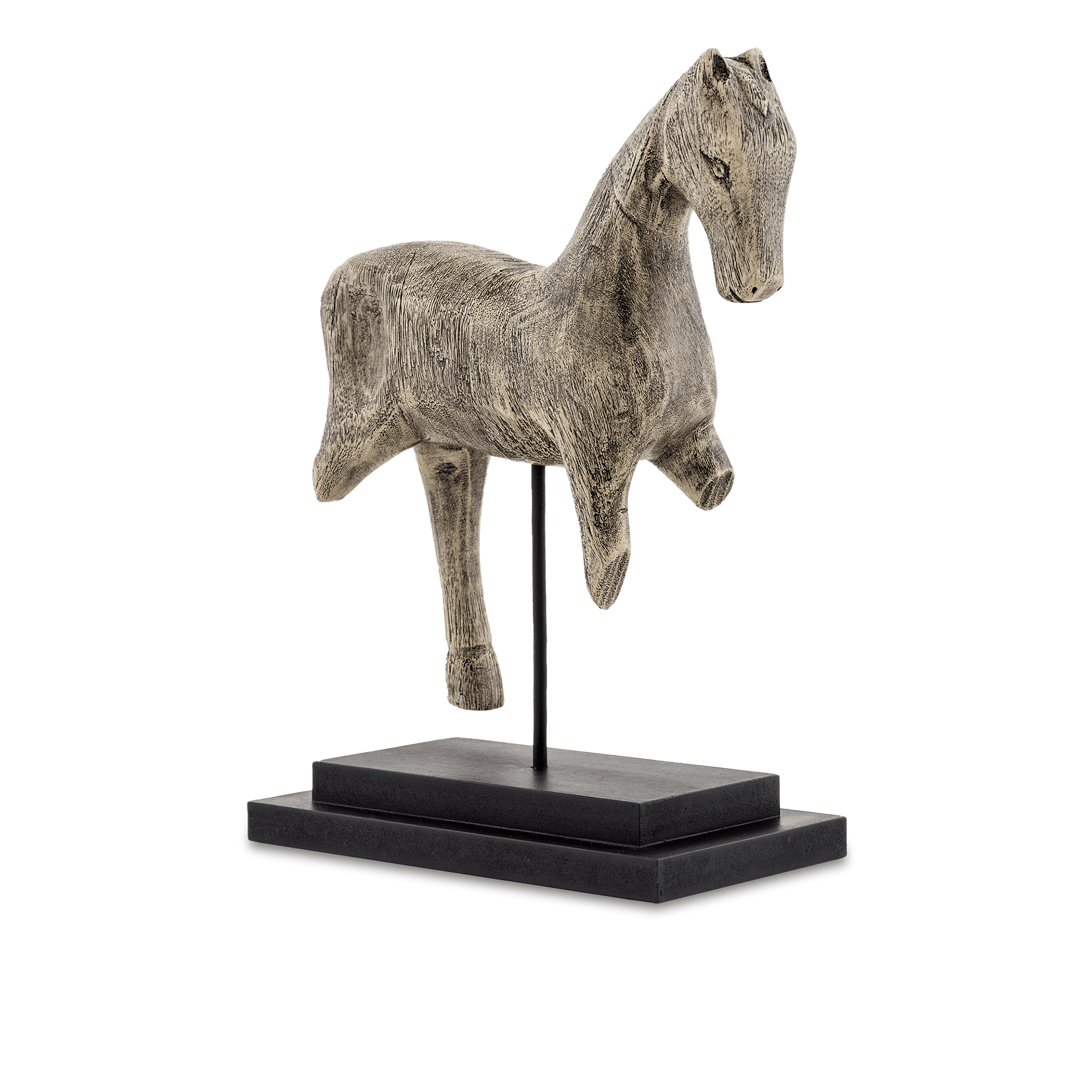 Dominus Horse
