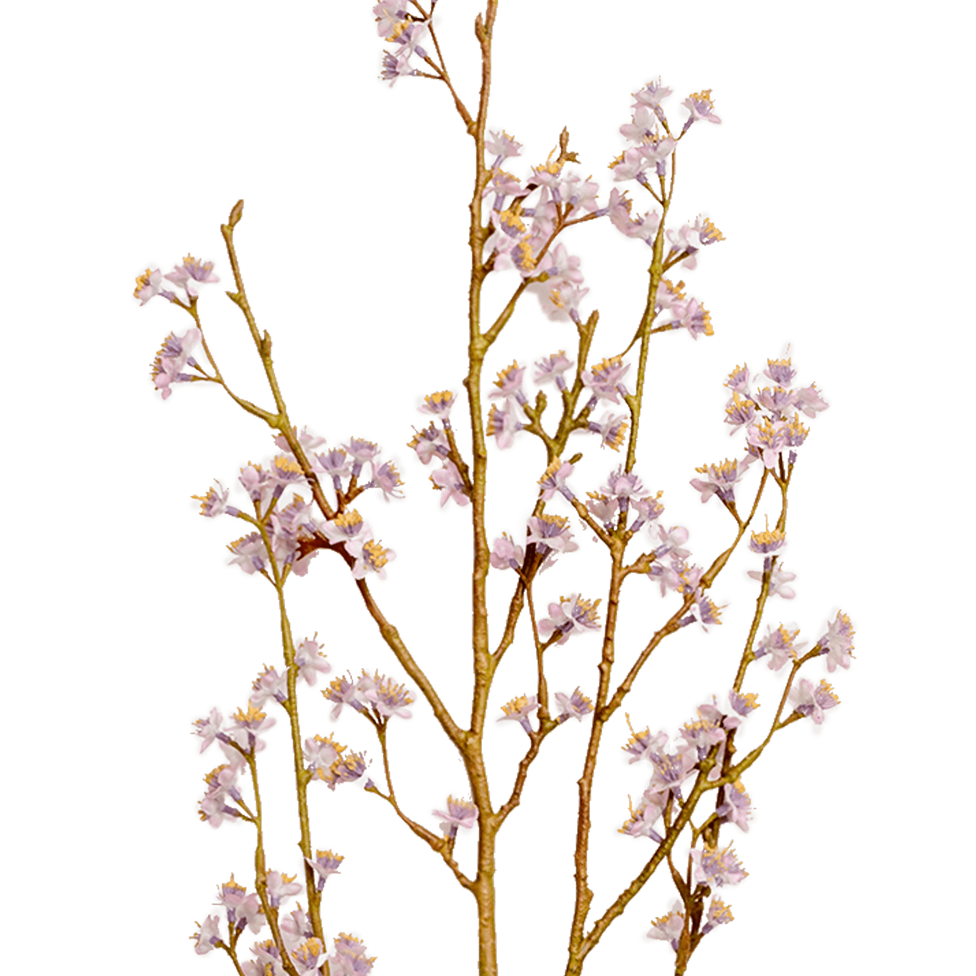 Blossom Spray