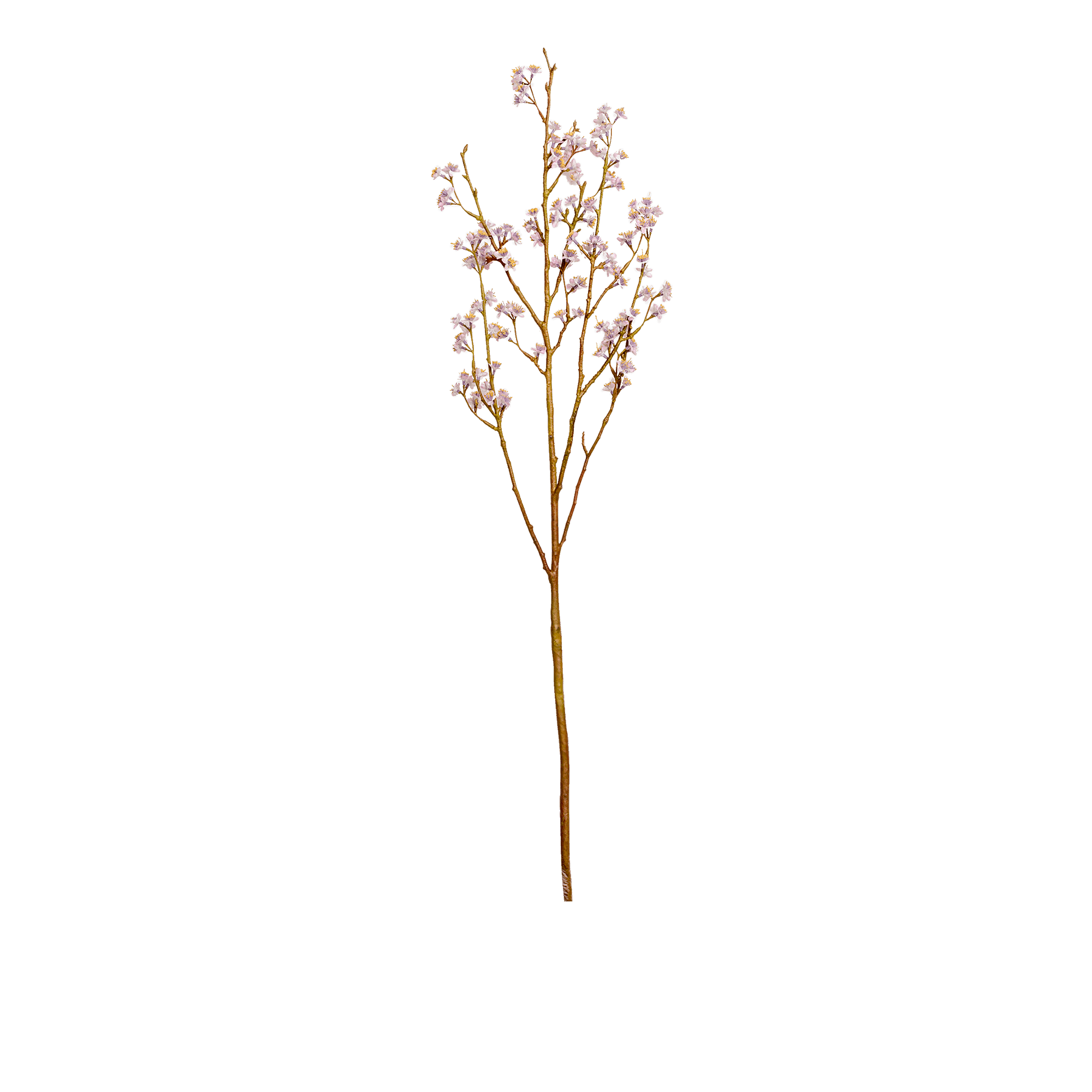 Blossom Spray