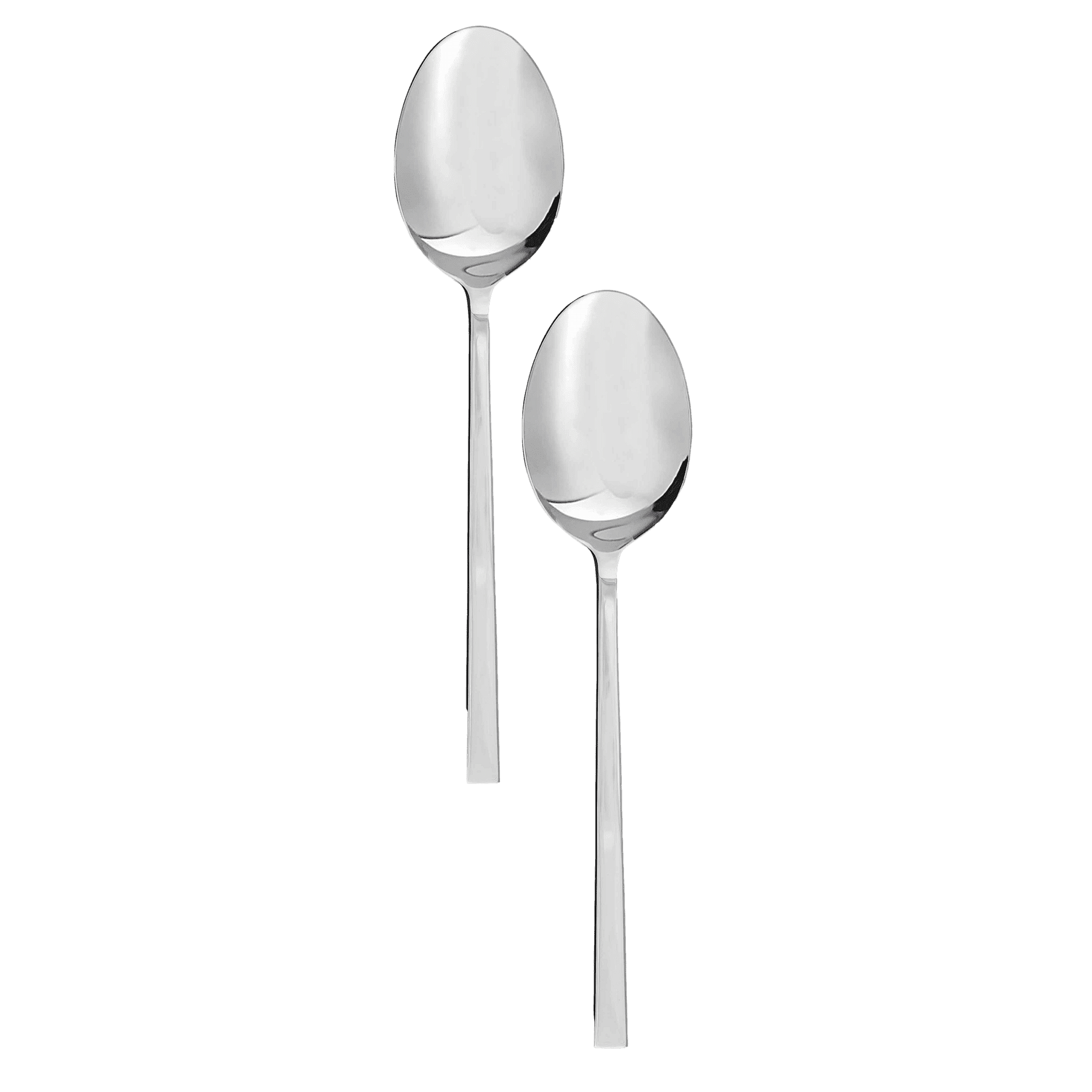 Linea Serving Spoon Set of 2