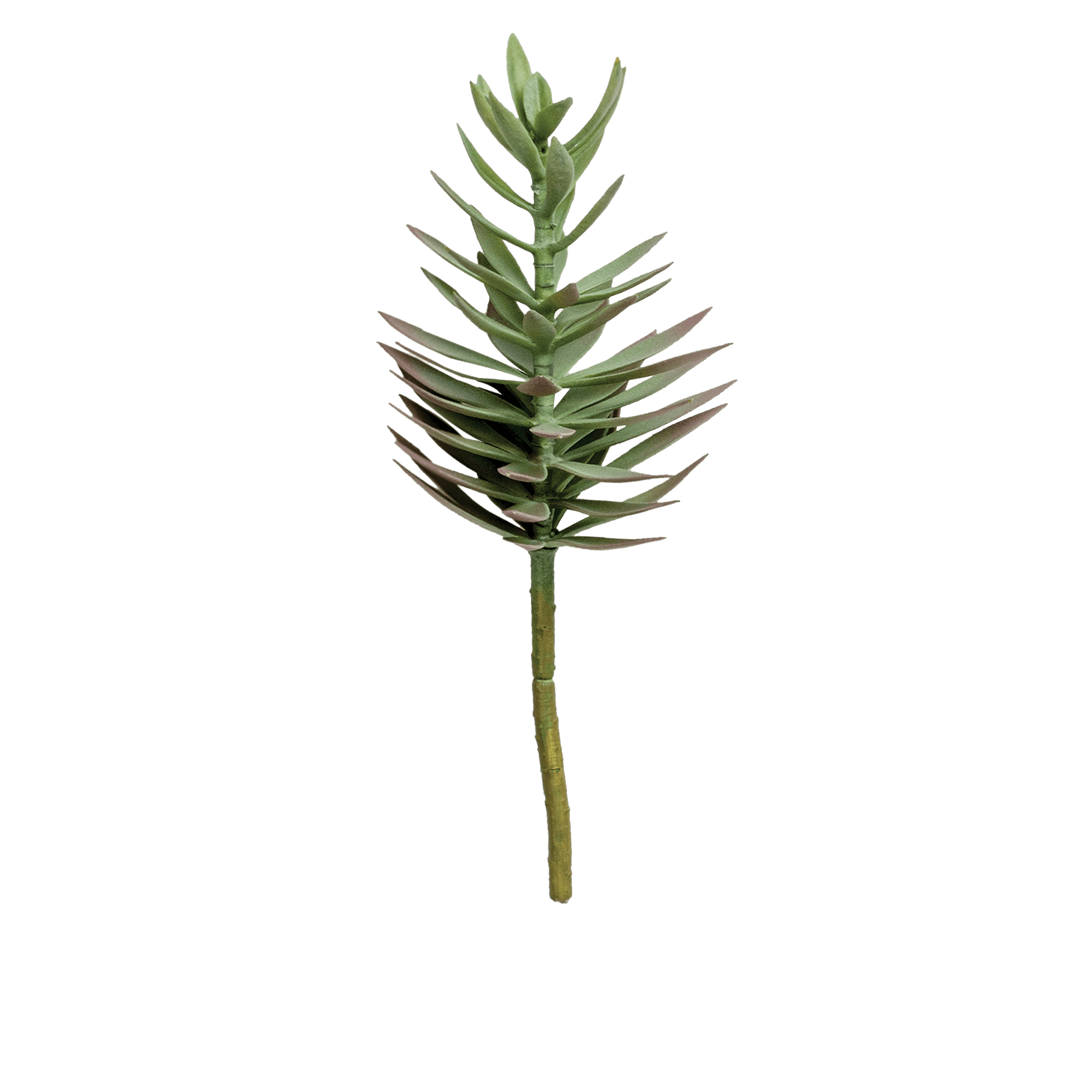 Needle Needle
