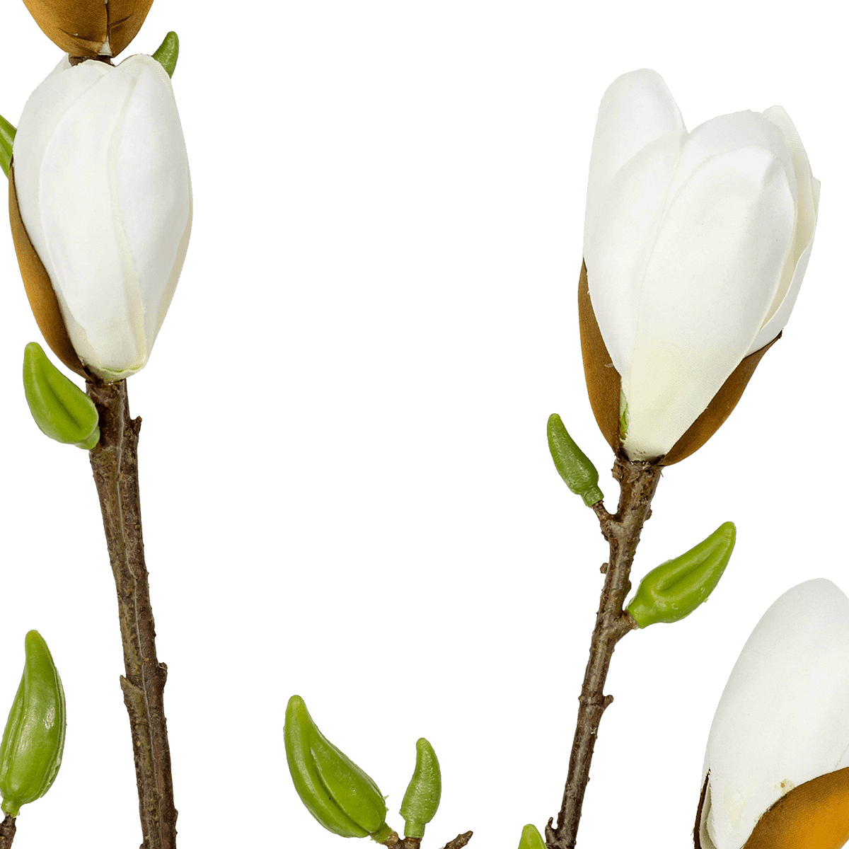 Magnolia Spray
