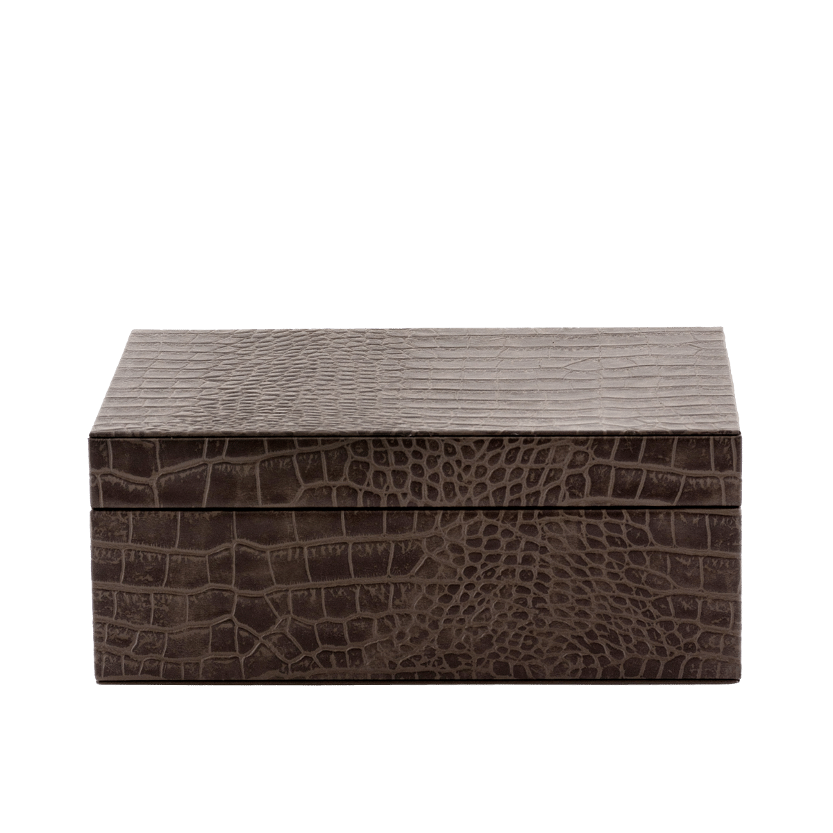 Exotique Brown Leather Utility Box 10