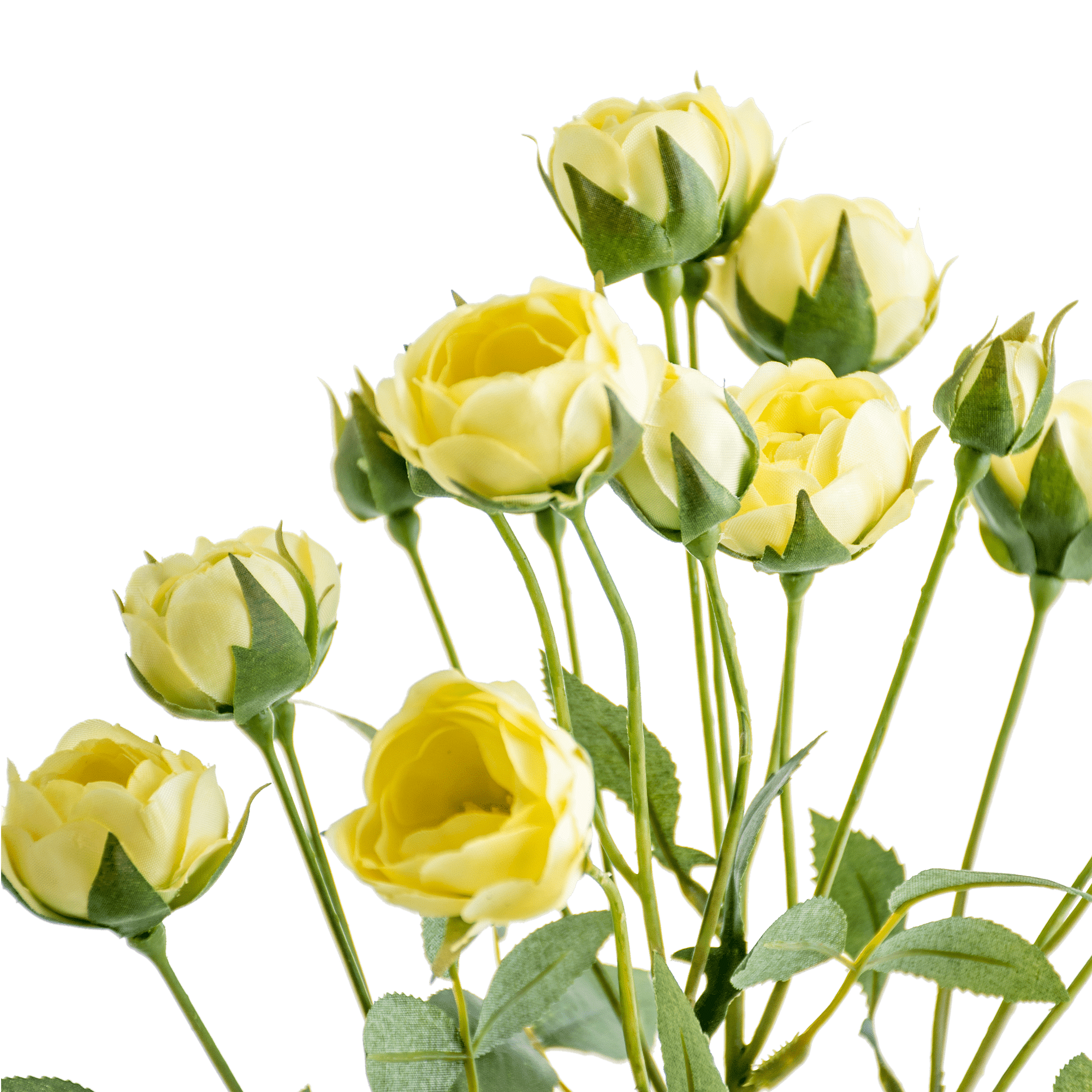 Rose Spray