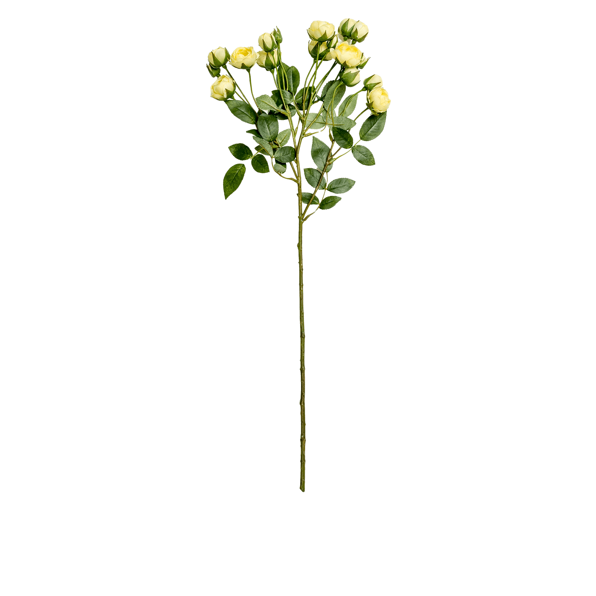 Rose Spray