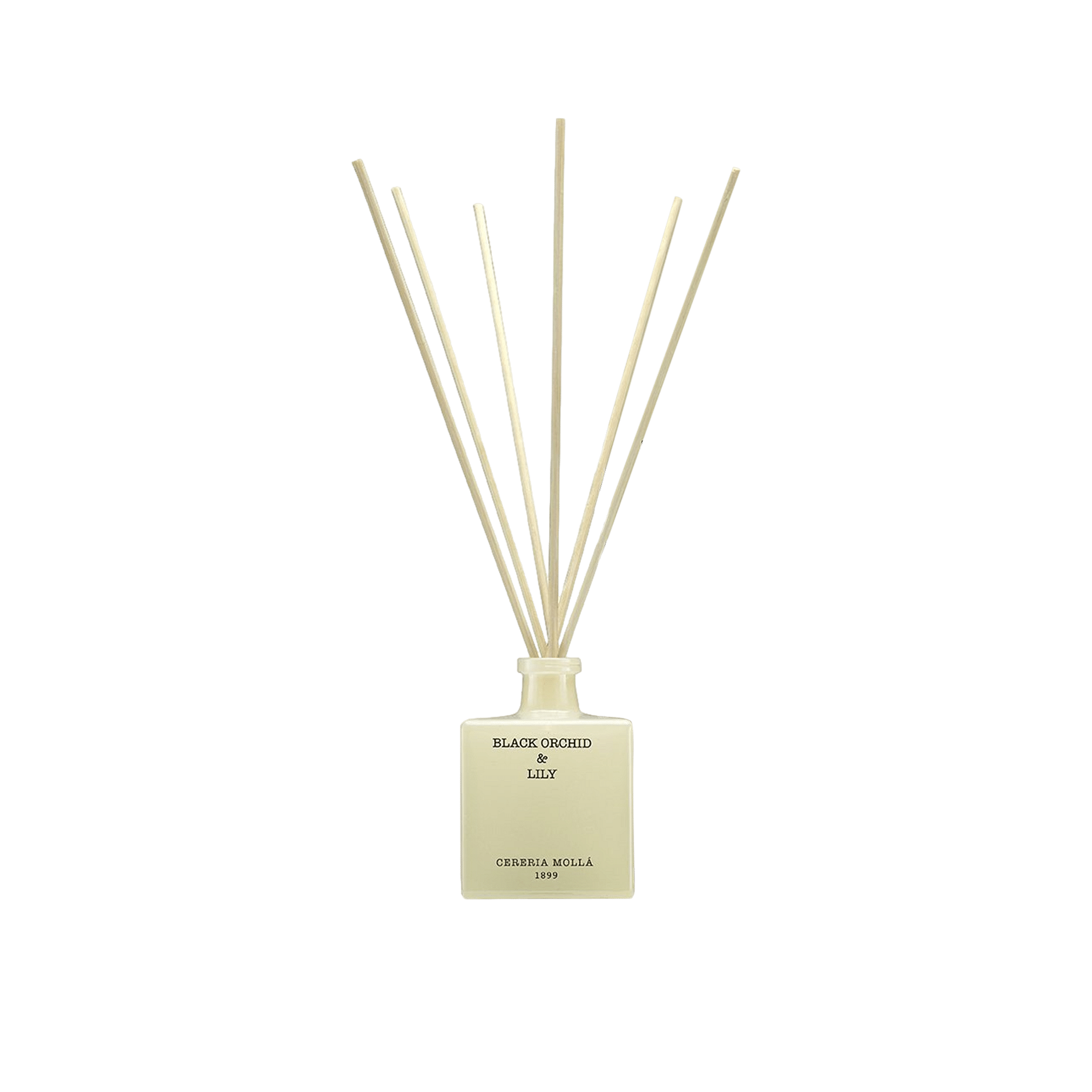 Black Orchid & Lily Reed Diffuser