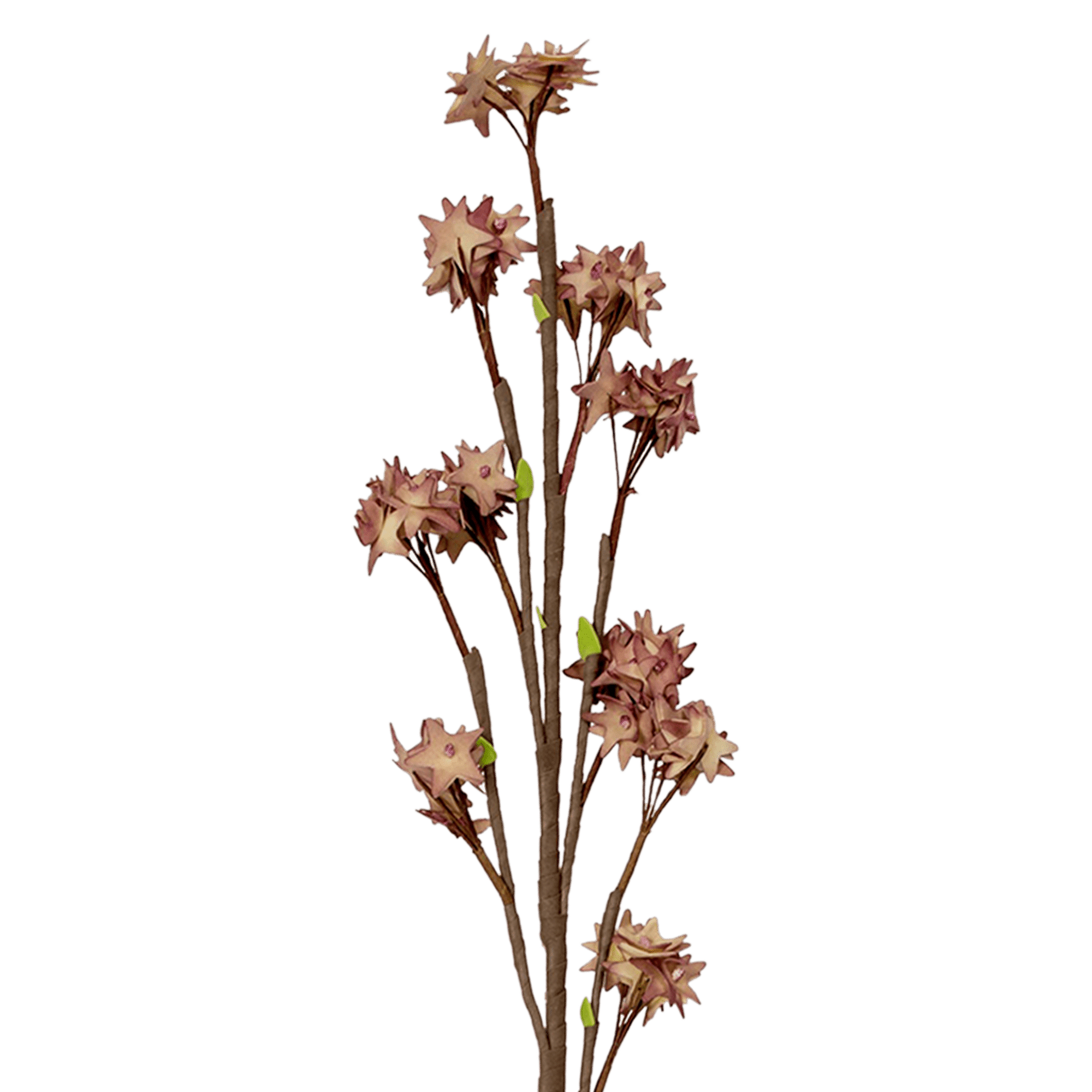 Plum Blossom Spray