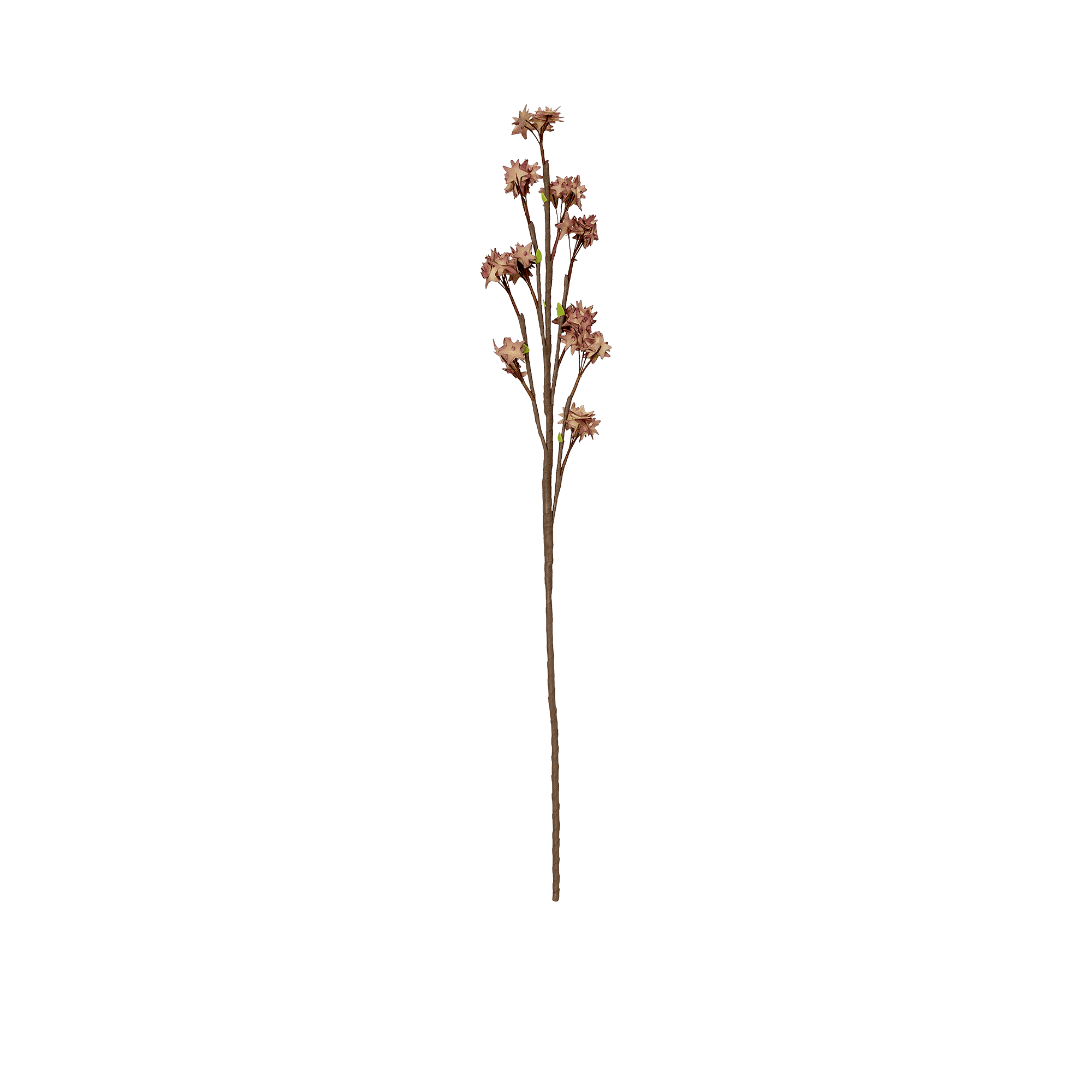 Plum Blossom Spray