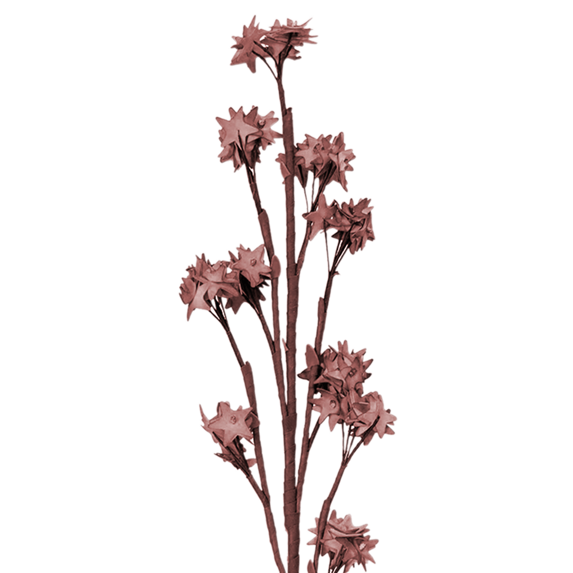 Plum Blossom Spray