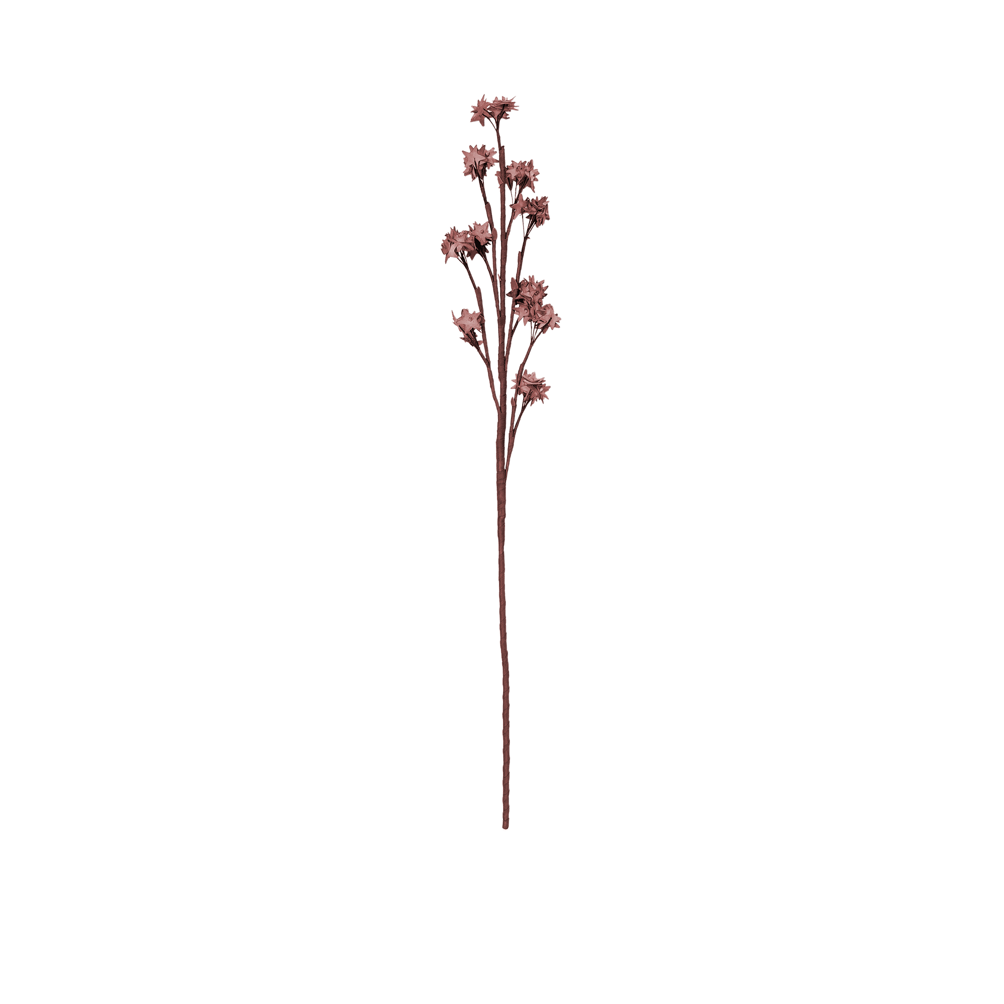 Plum Blossom Spray