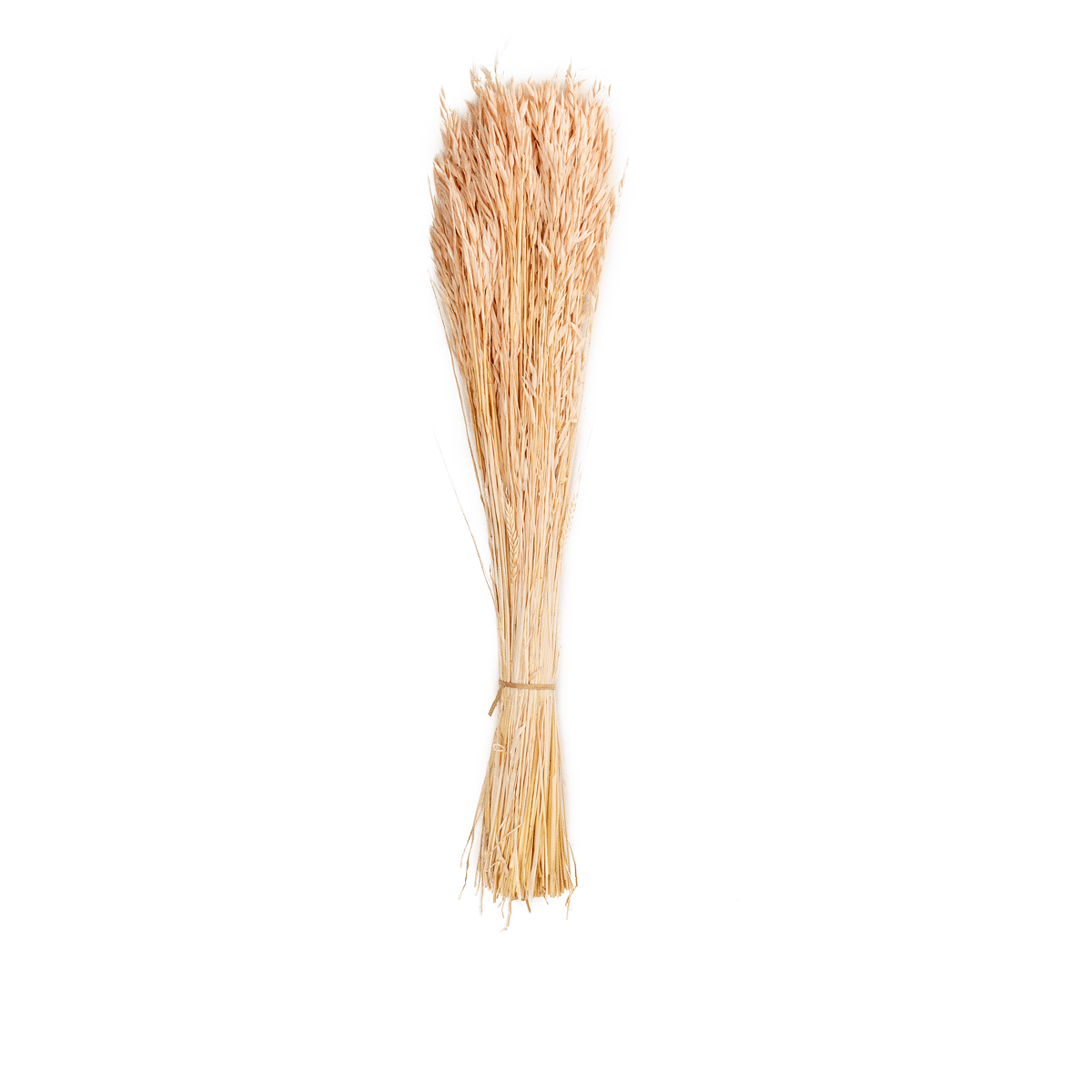 Avoine Rose Dried Botanical