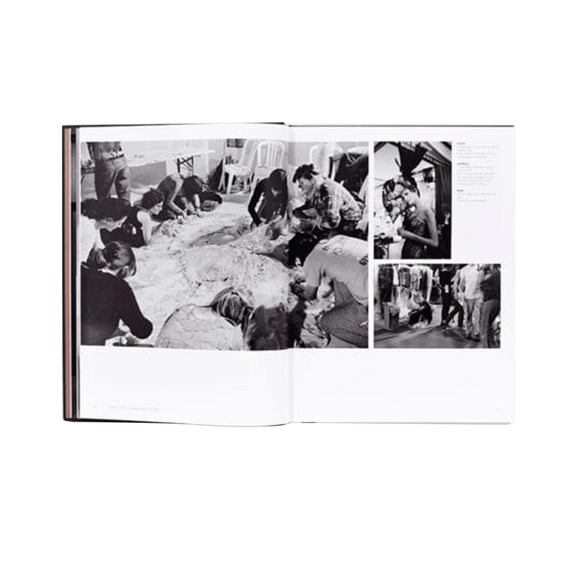 Alexander Mc Queen Coffee Table Book