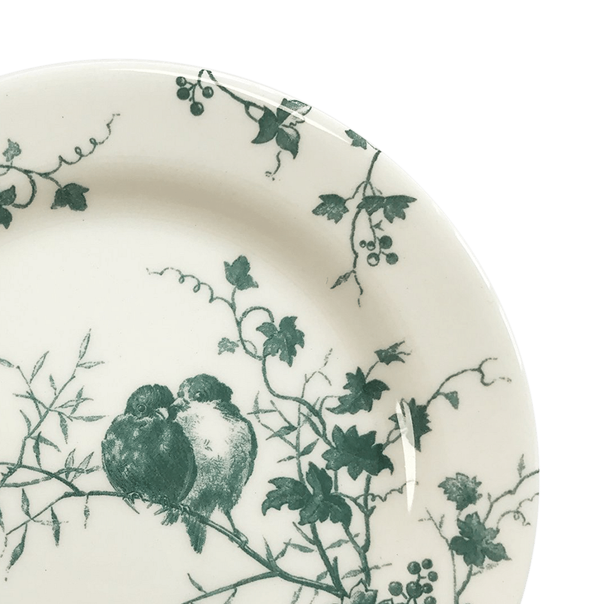Les Oiseaux Coaster