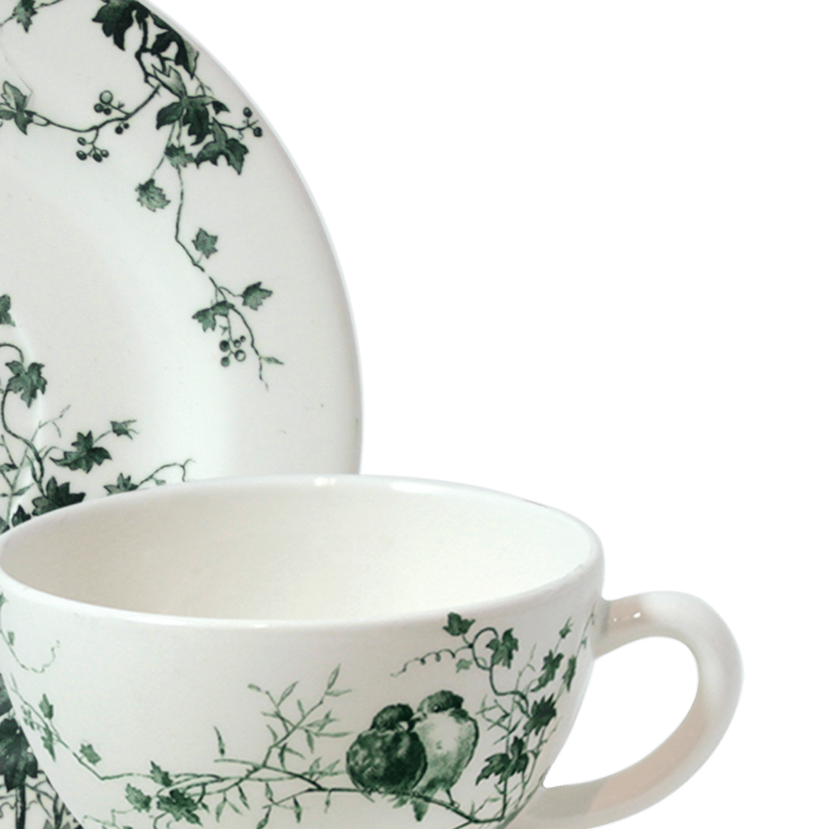 Les Oiseaux Cup & Saucer