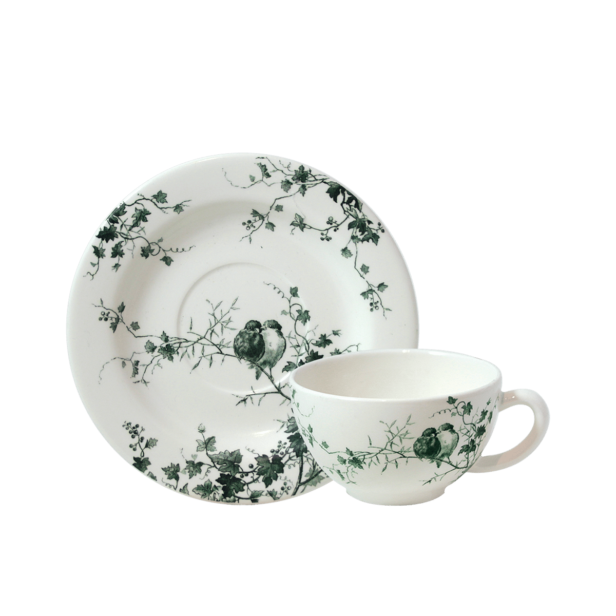 Les Oiseaux Cup & Saucer