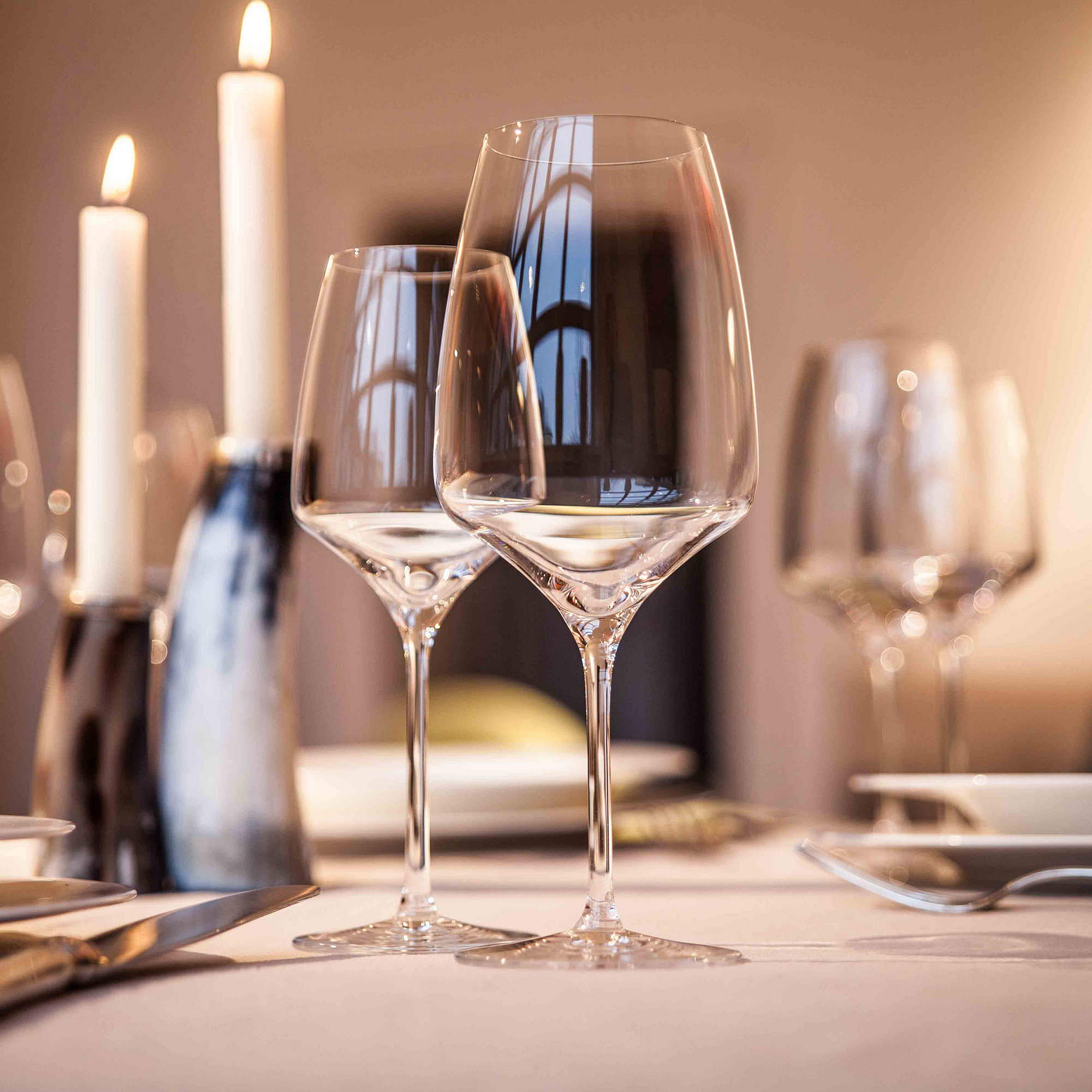 Experience Red Wine Glass