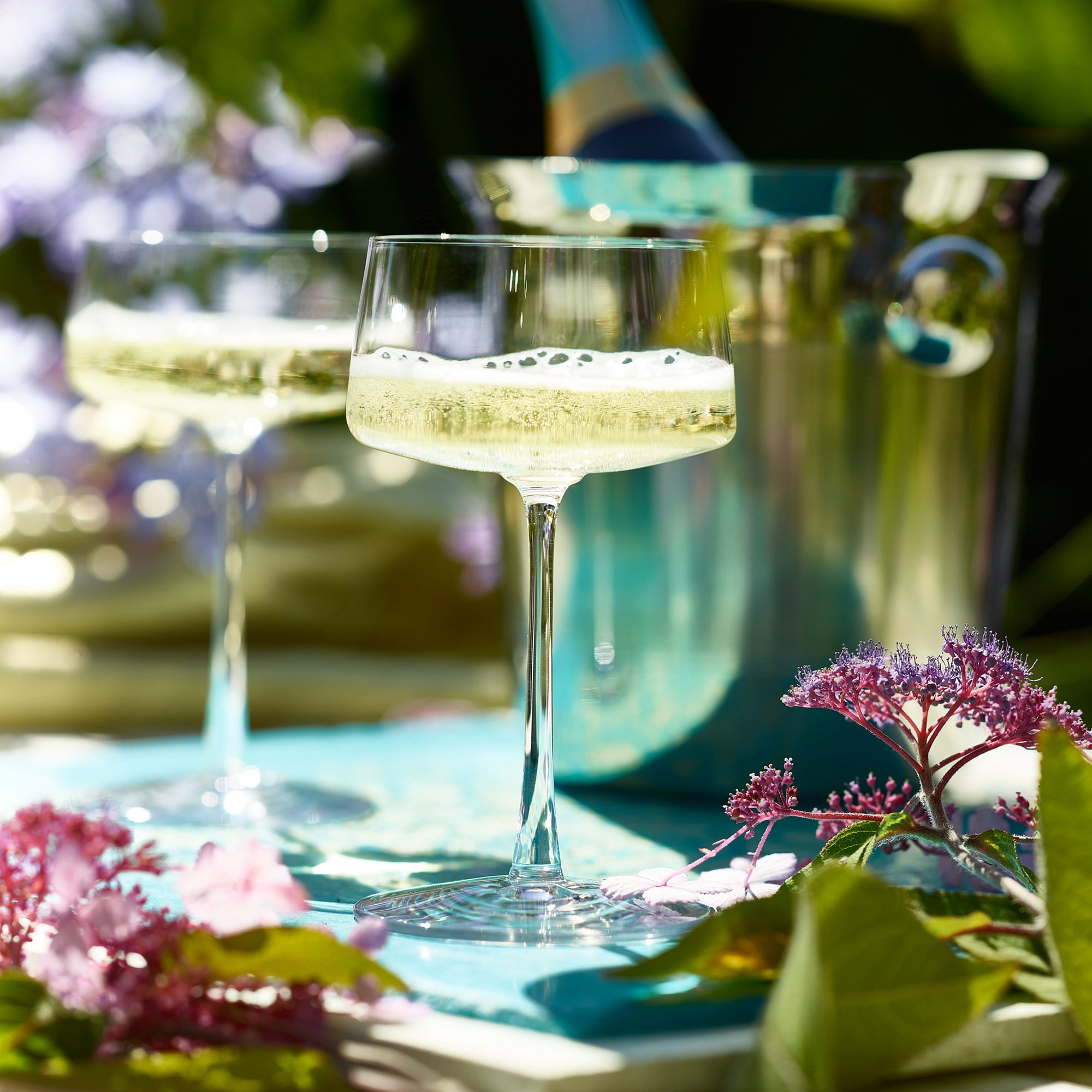 Power Champagne Coupe
