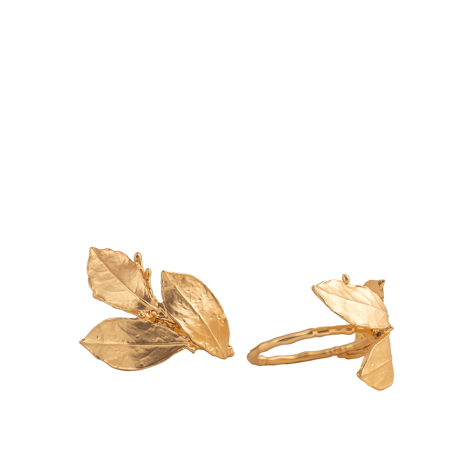 Edessa Napkin Ring S/2