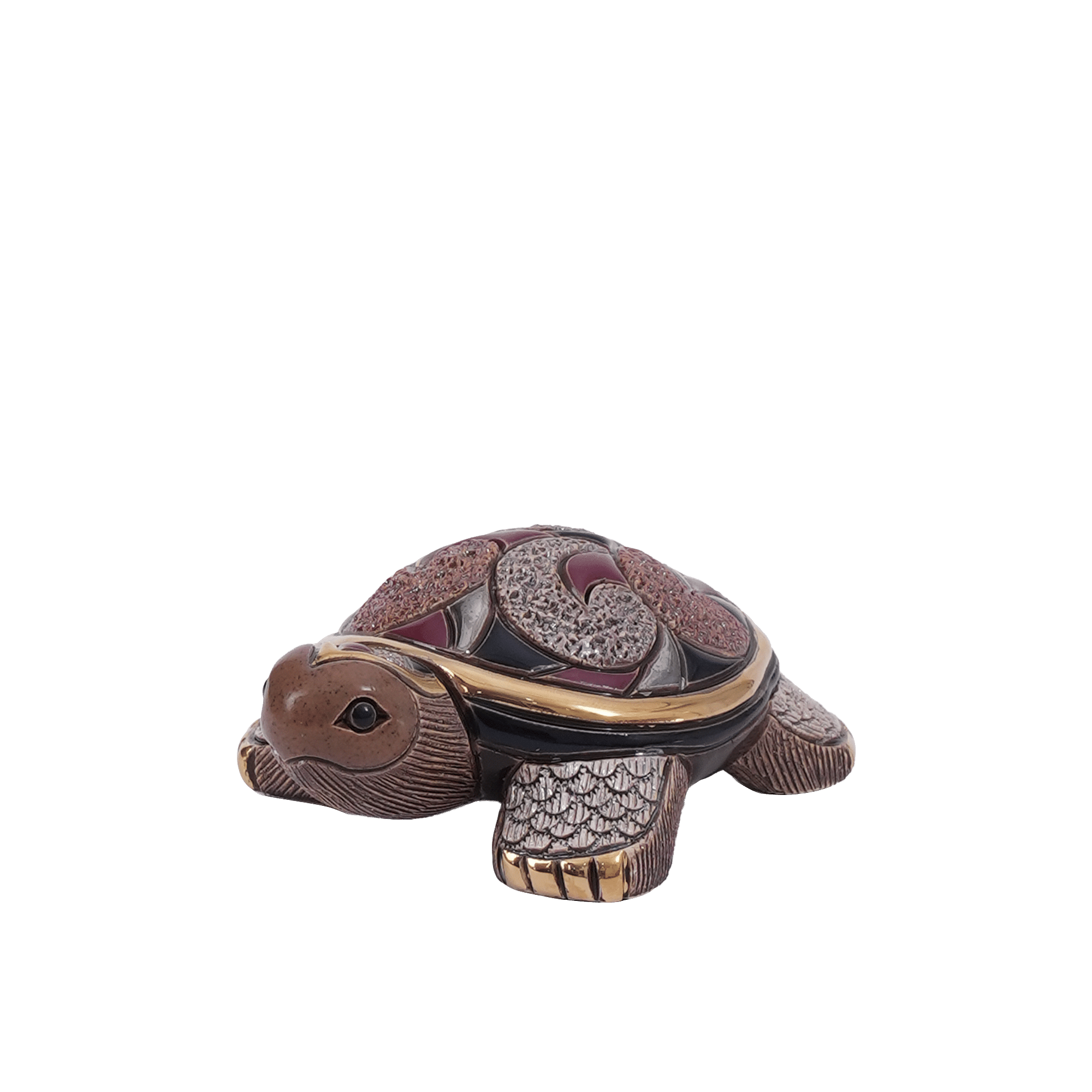 The Families- Baby Galapagos Turtle