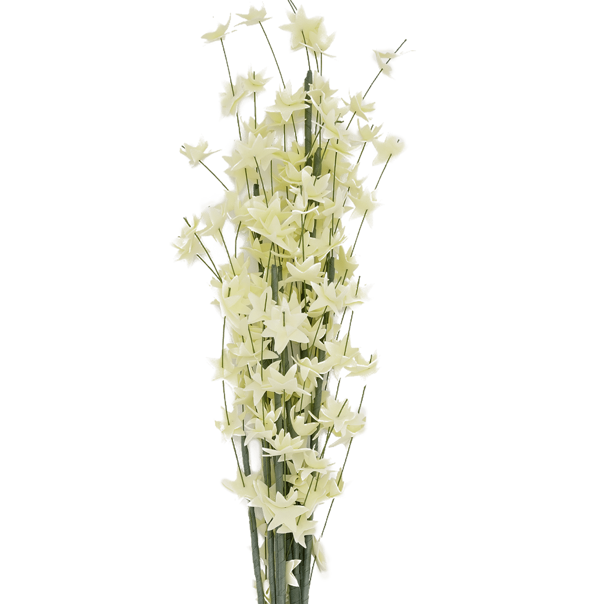 Baby'S Breath Flower Yellow