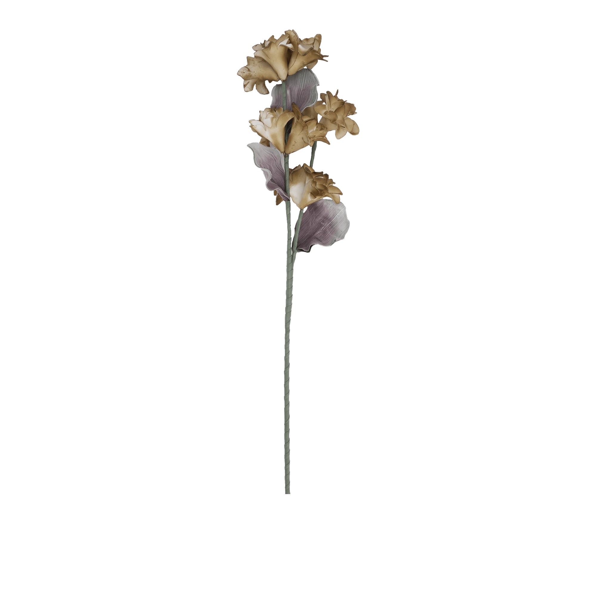 Cockscomb Flower 90Cm H