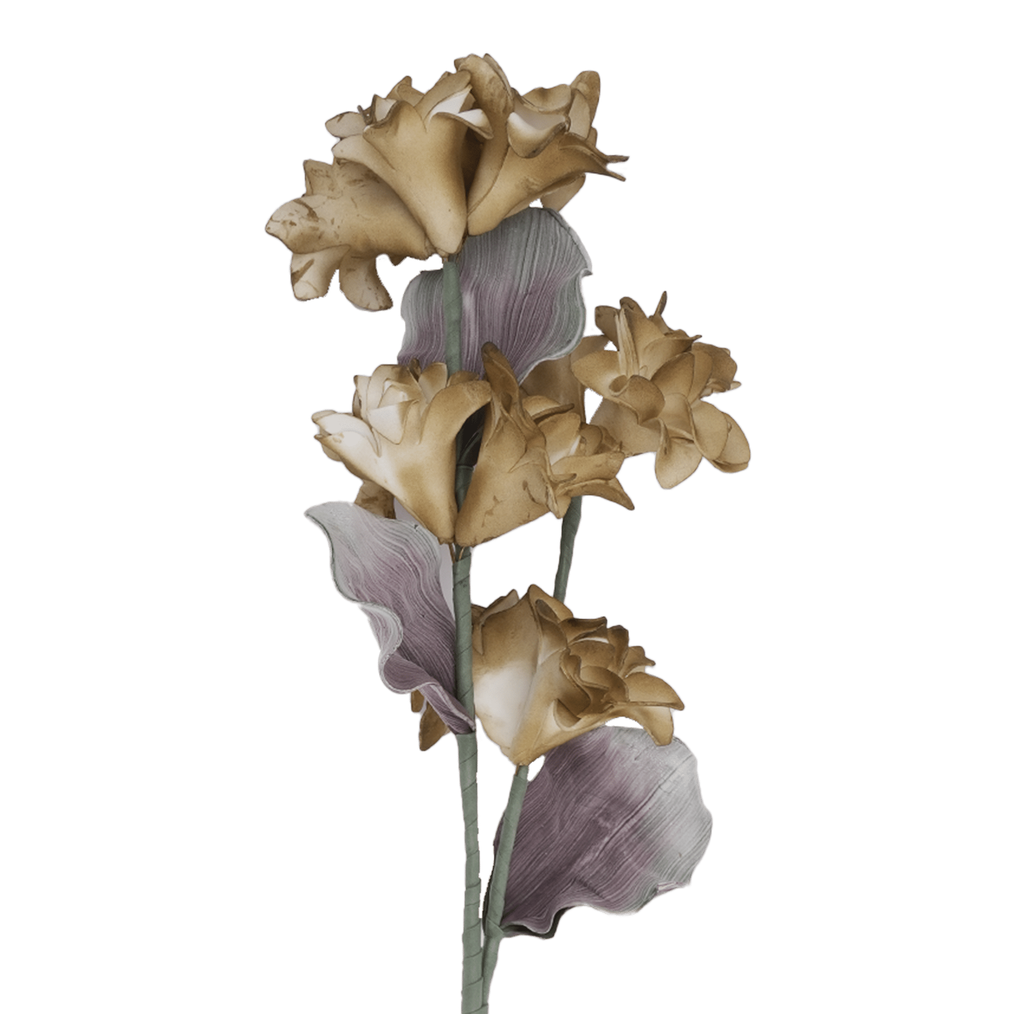 Cockscomb Flower 90Cm H