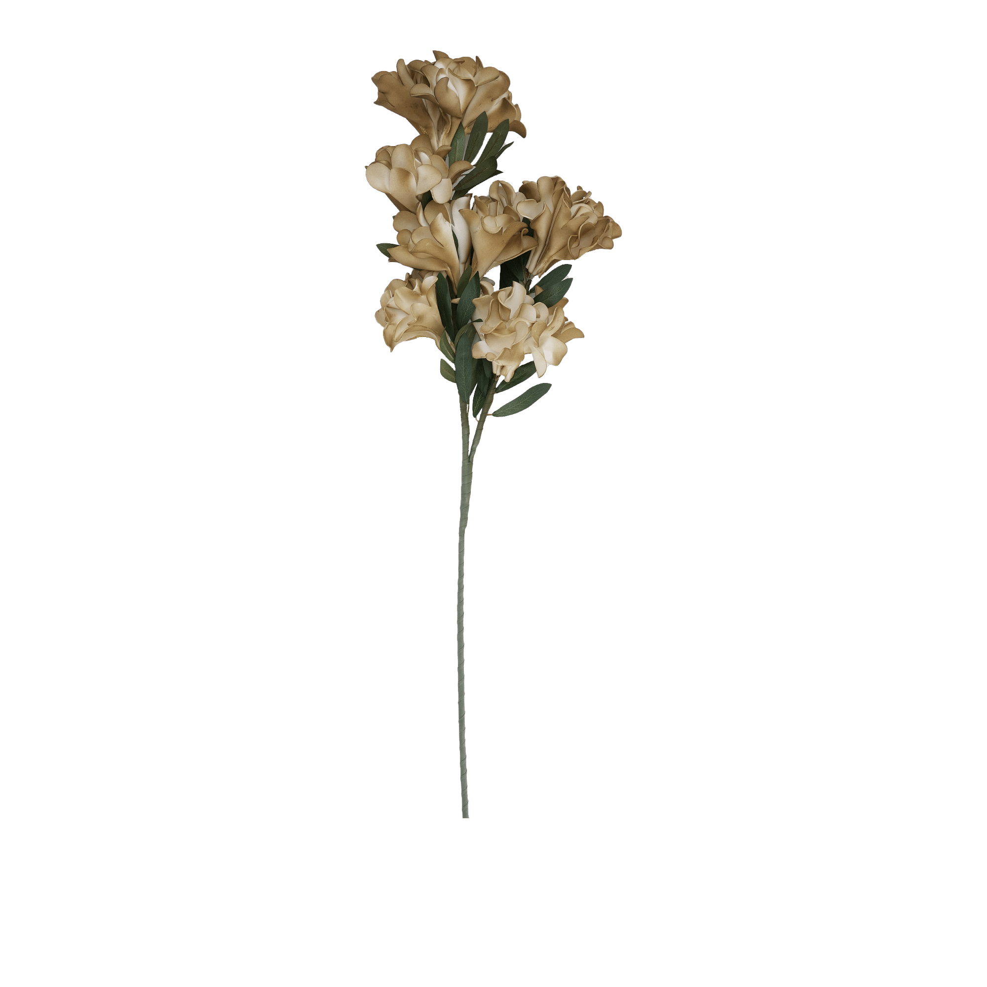 Cockscomb Flower 103 Cm H