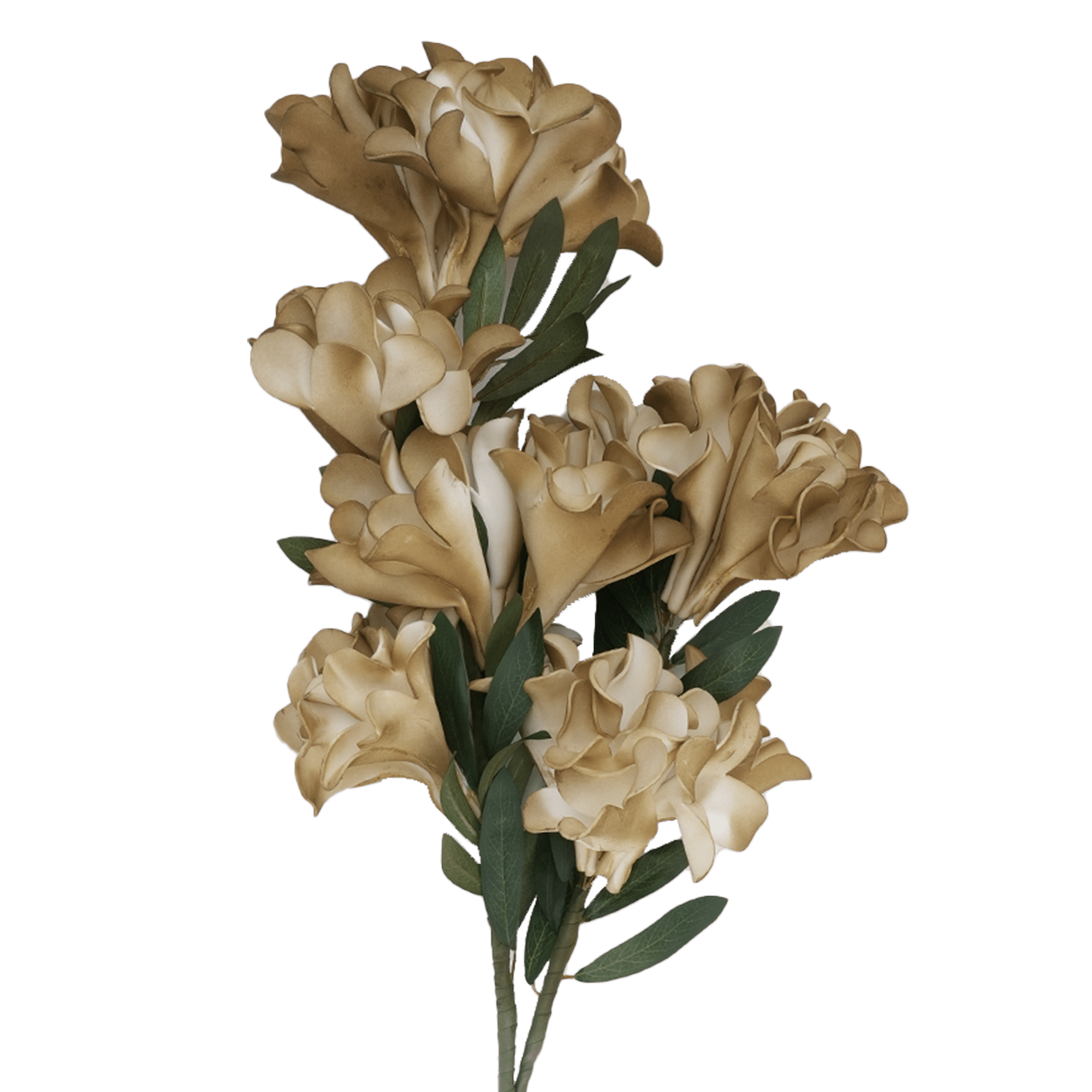 Cockscomb Flower 103 Cm H