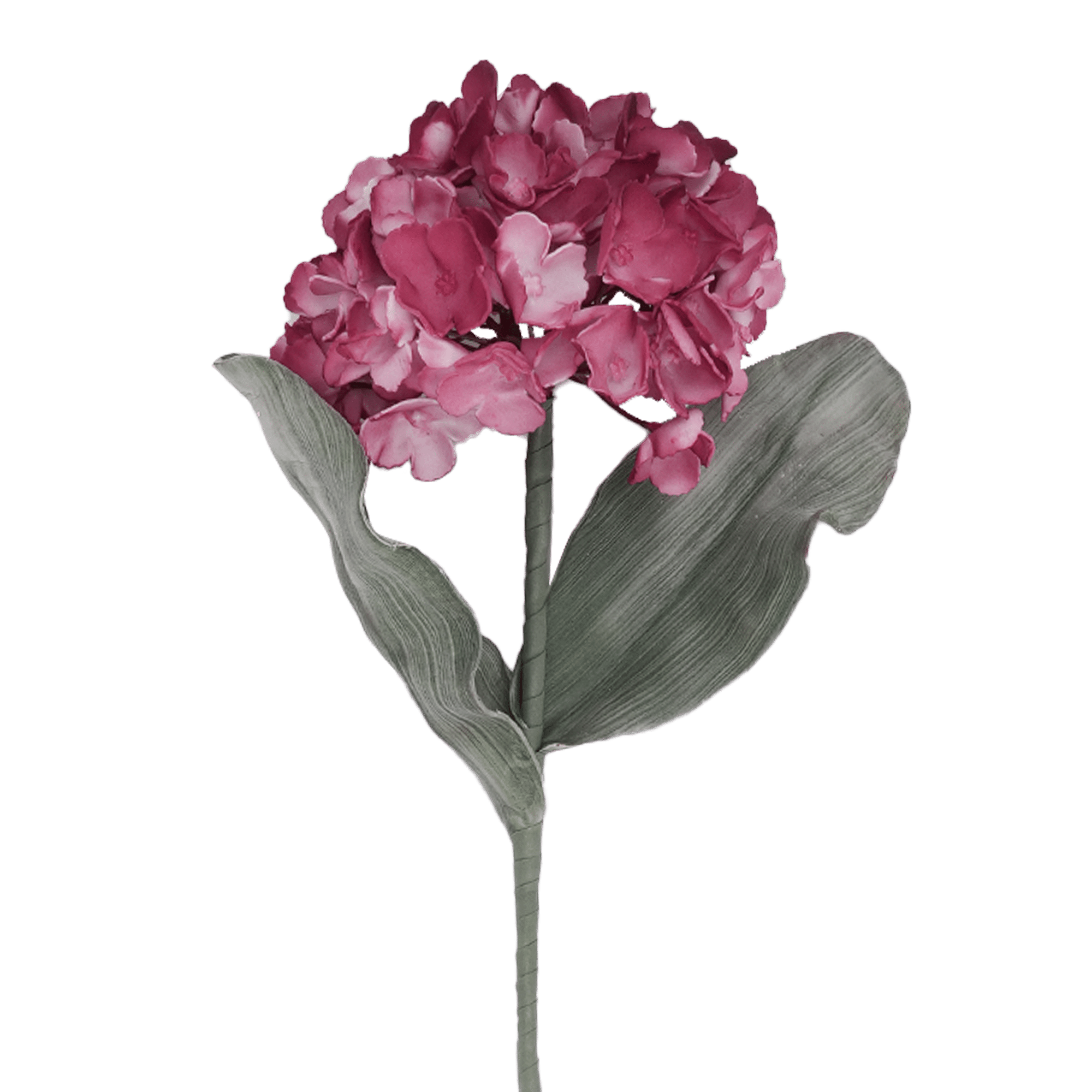 Hydrangea Flower Pink