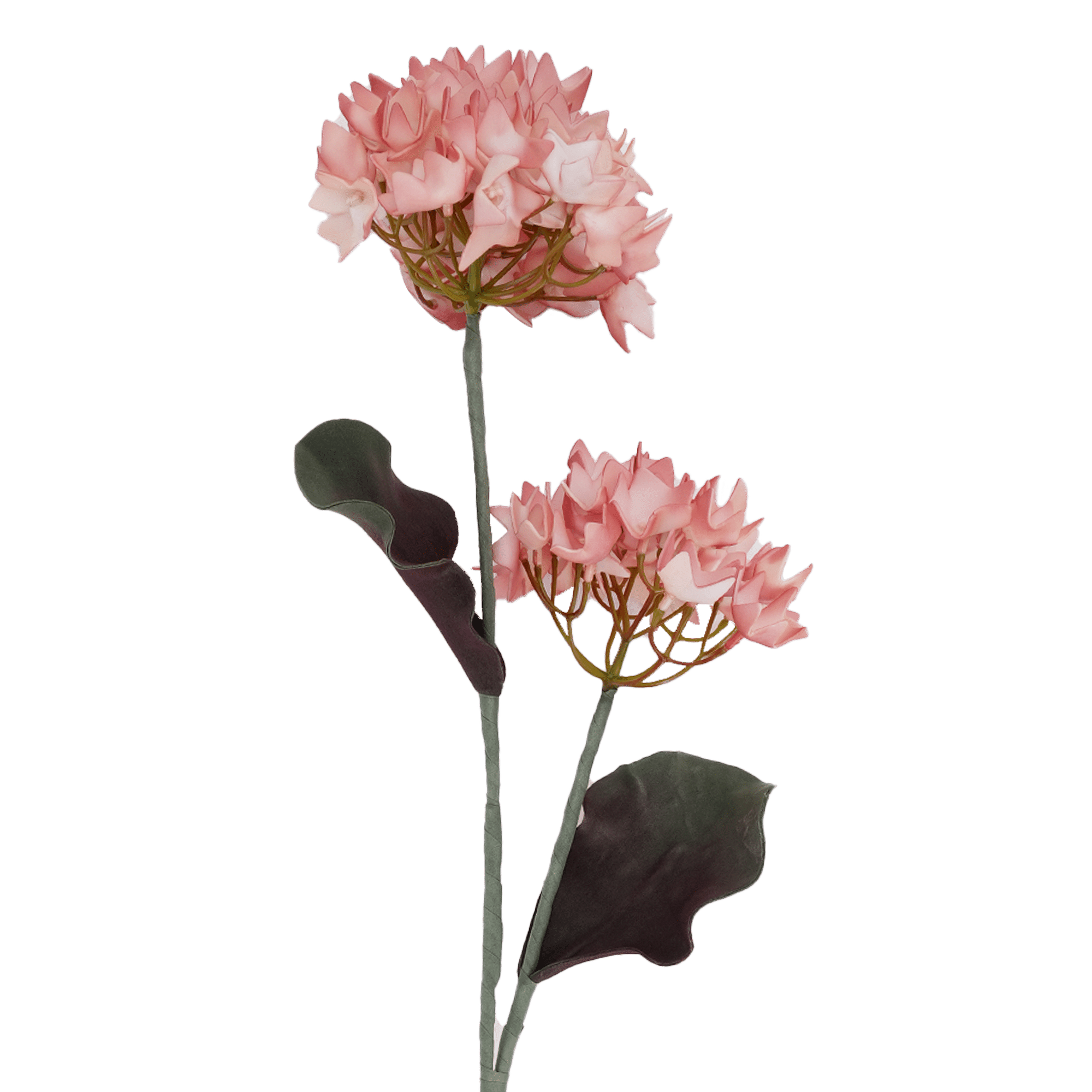 Hydrangea Flower Orange/Pink