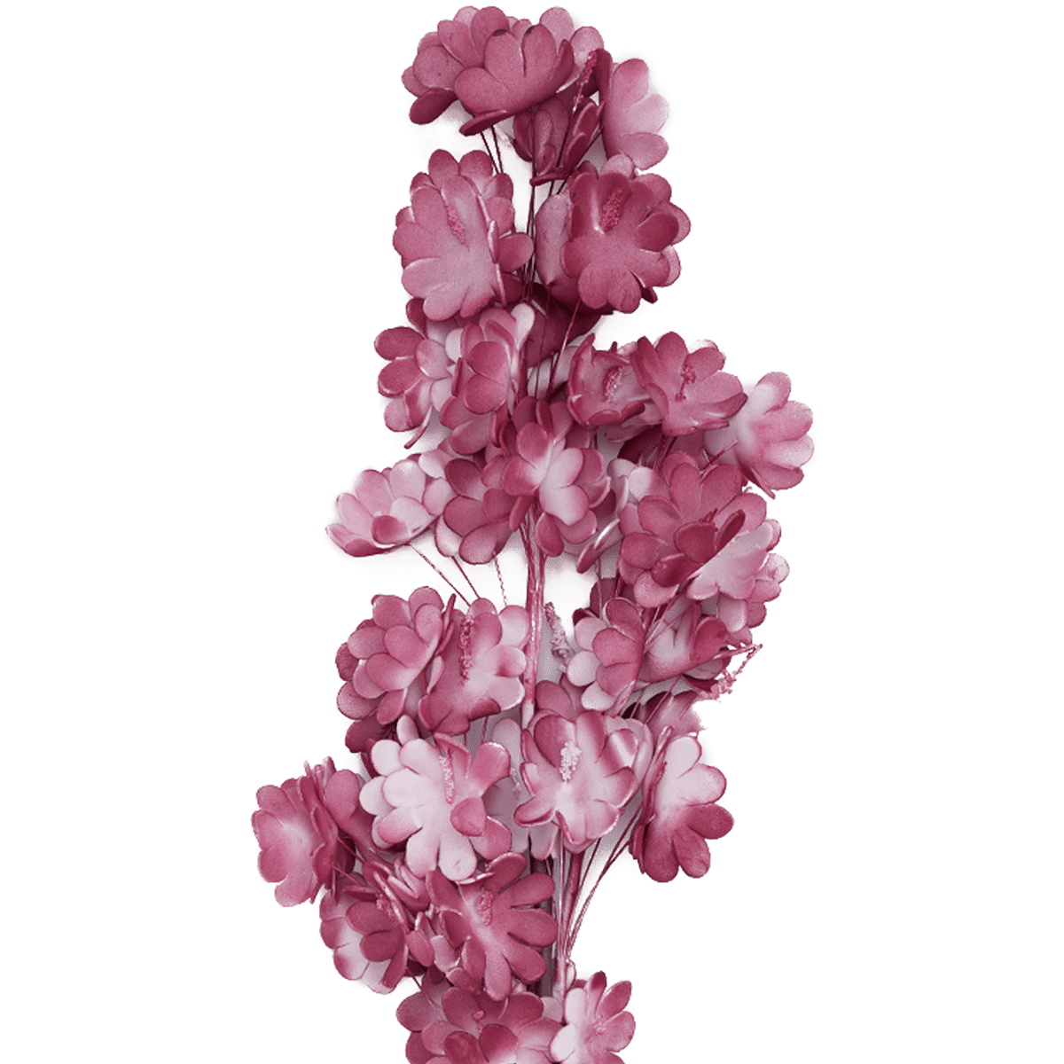 Royal Flower Pink