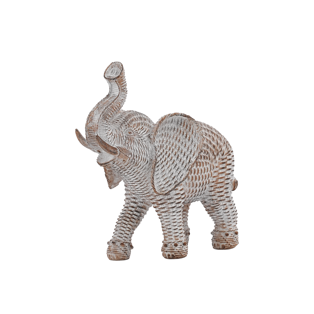 Tiere elephant brown