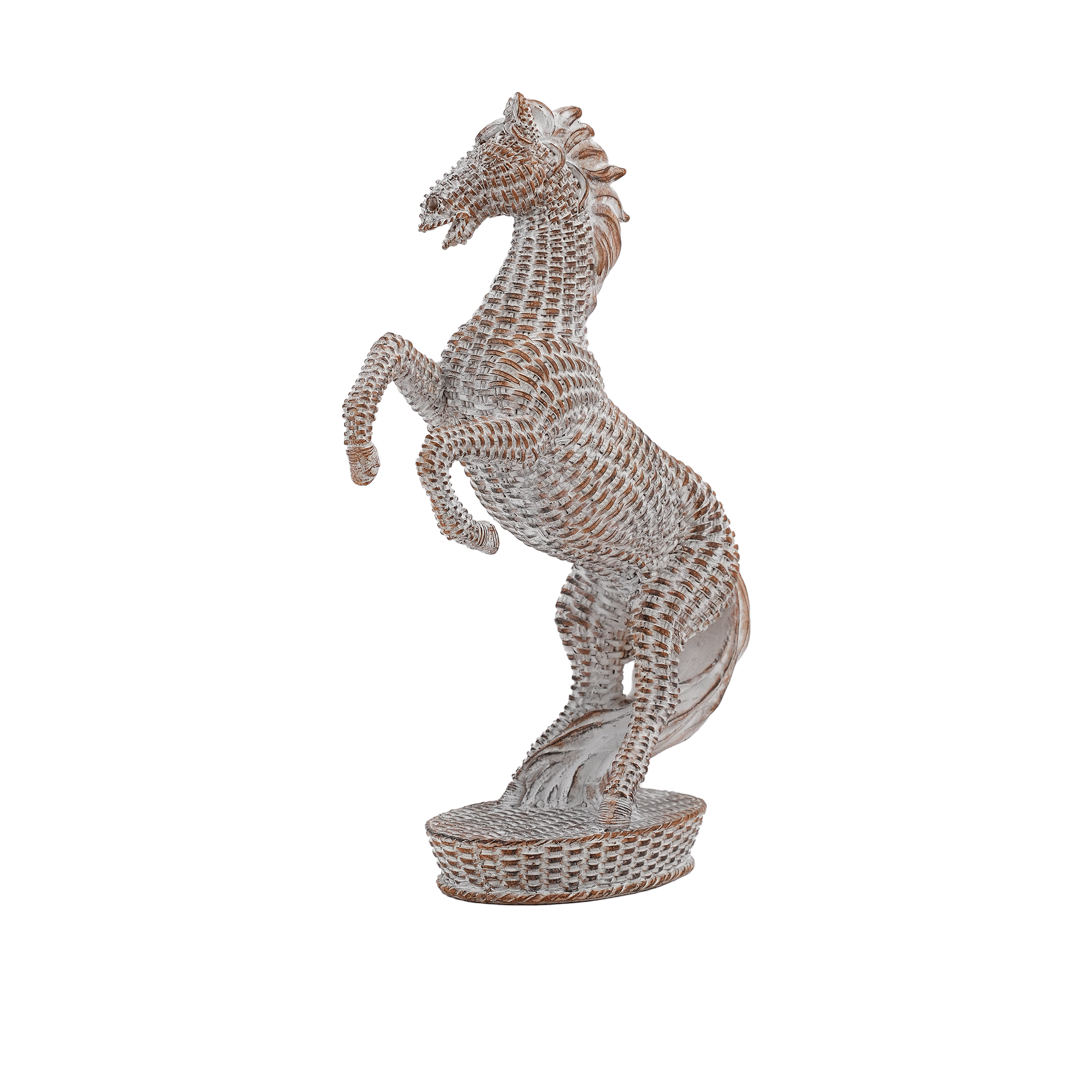 Tiere horse brown