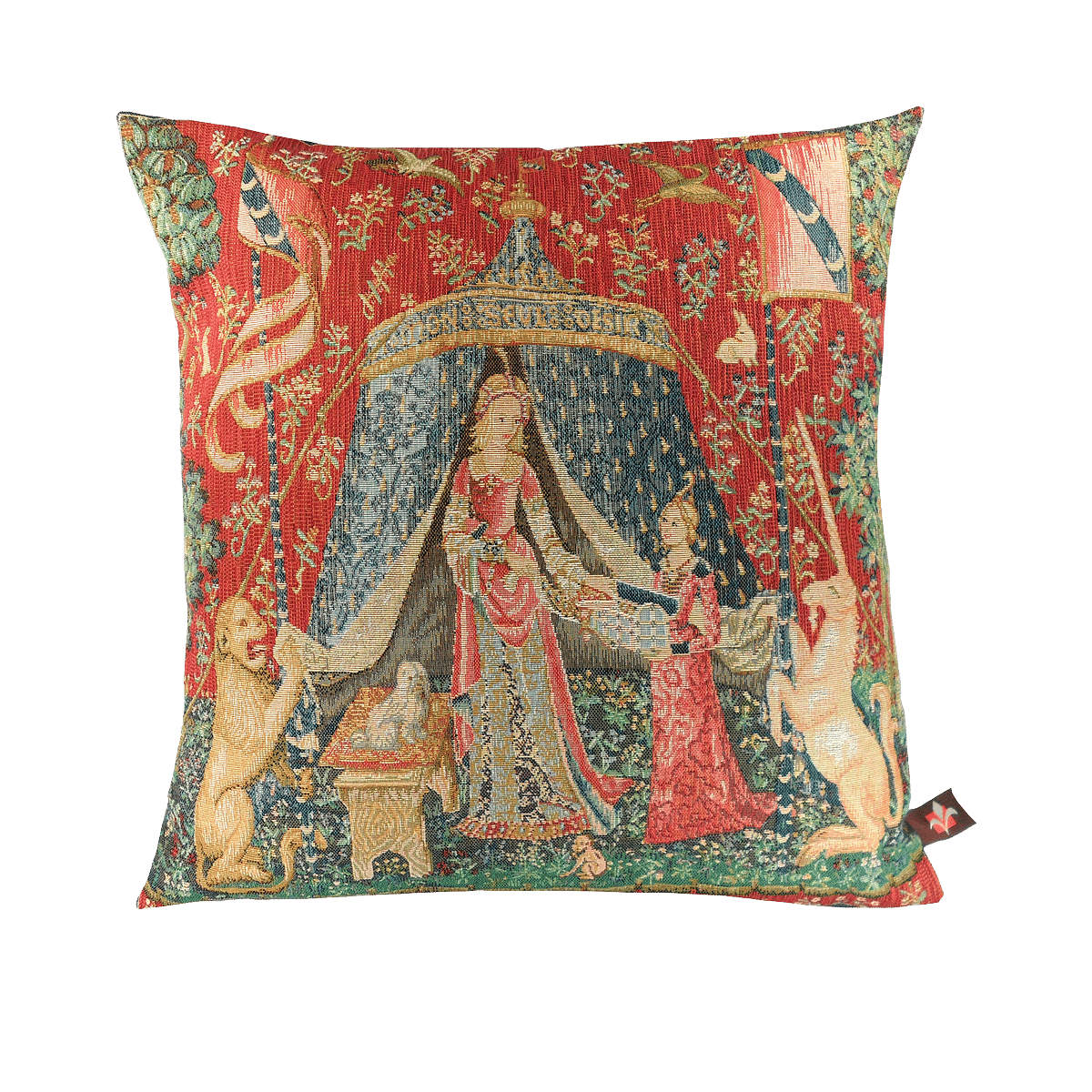 Cushion cover My only desire