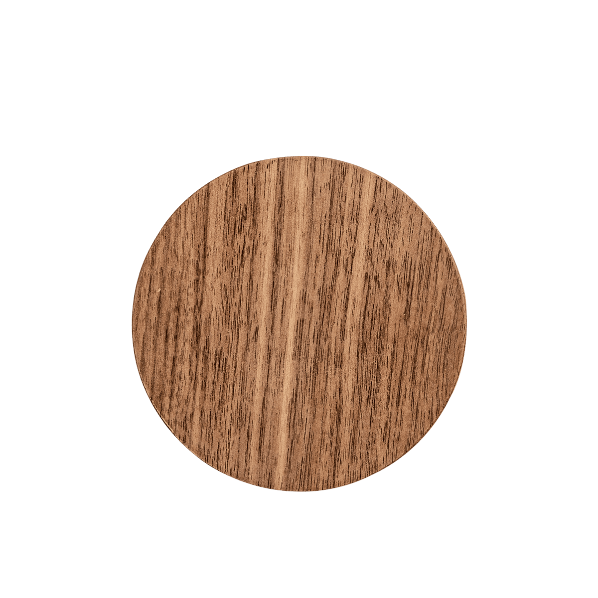 Salix Coaster