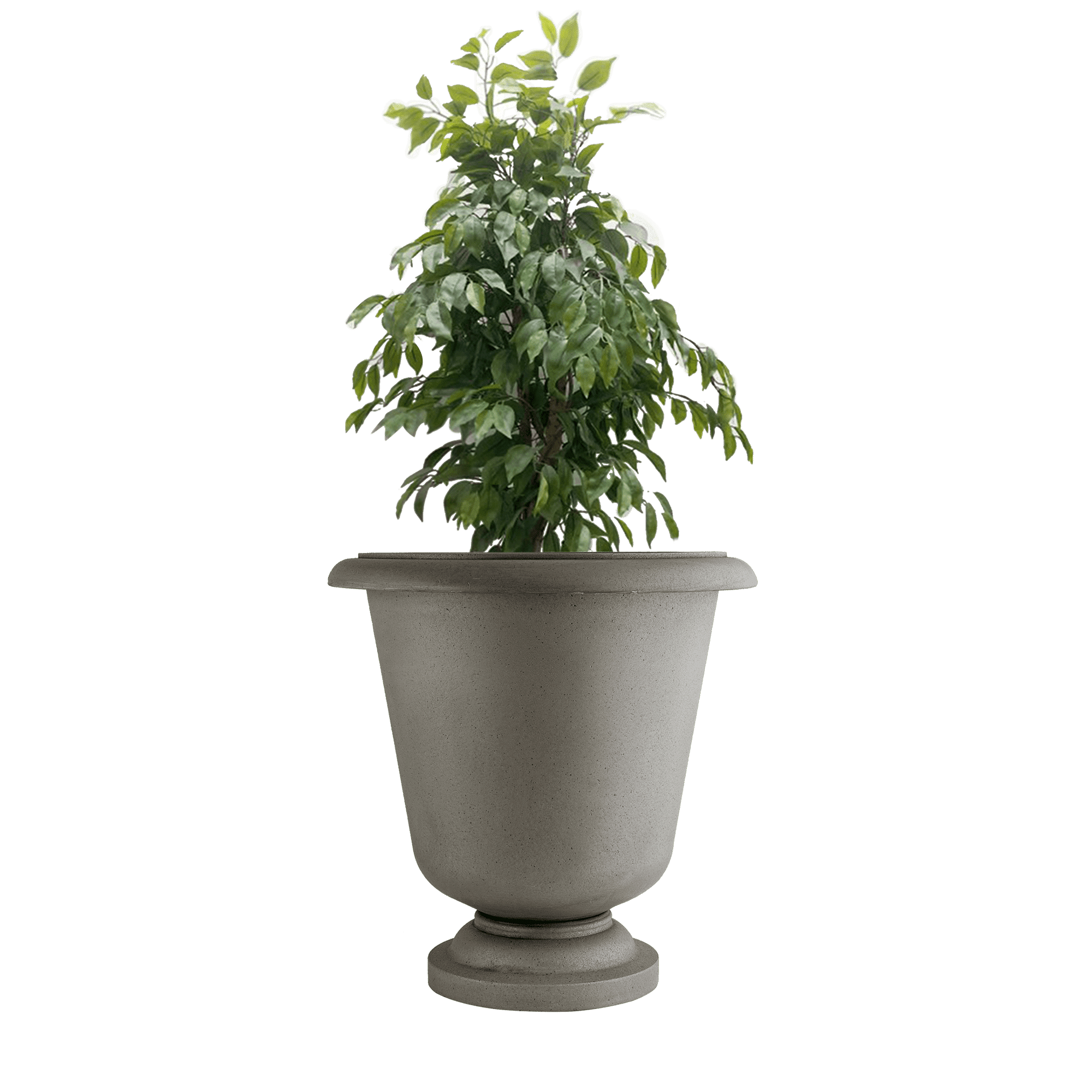 Marris Planter