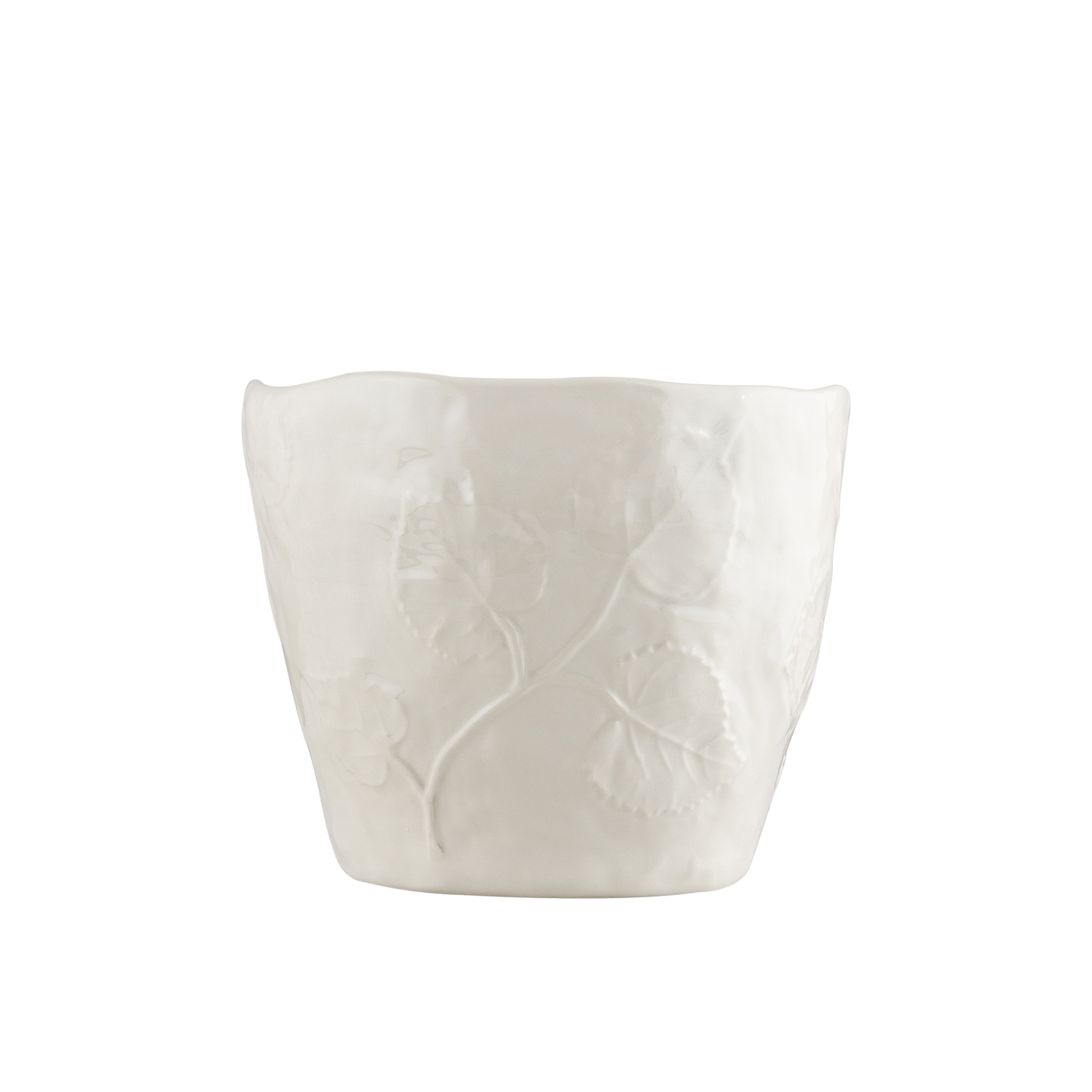 Botanical Indoor Planter