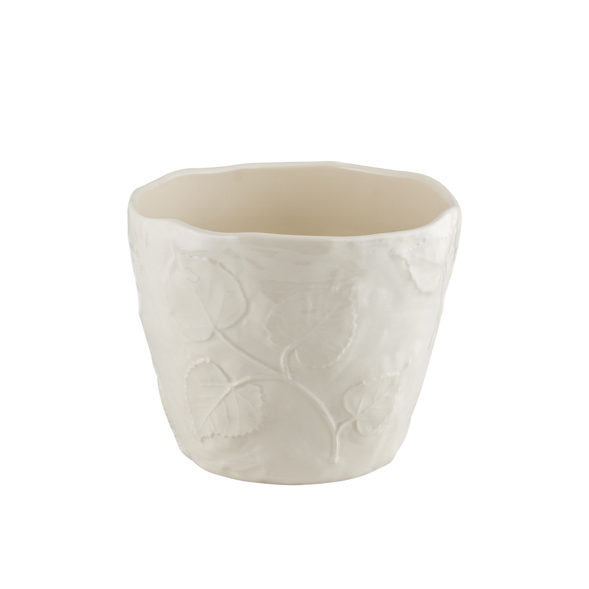 Botanical Indoor Planter