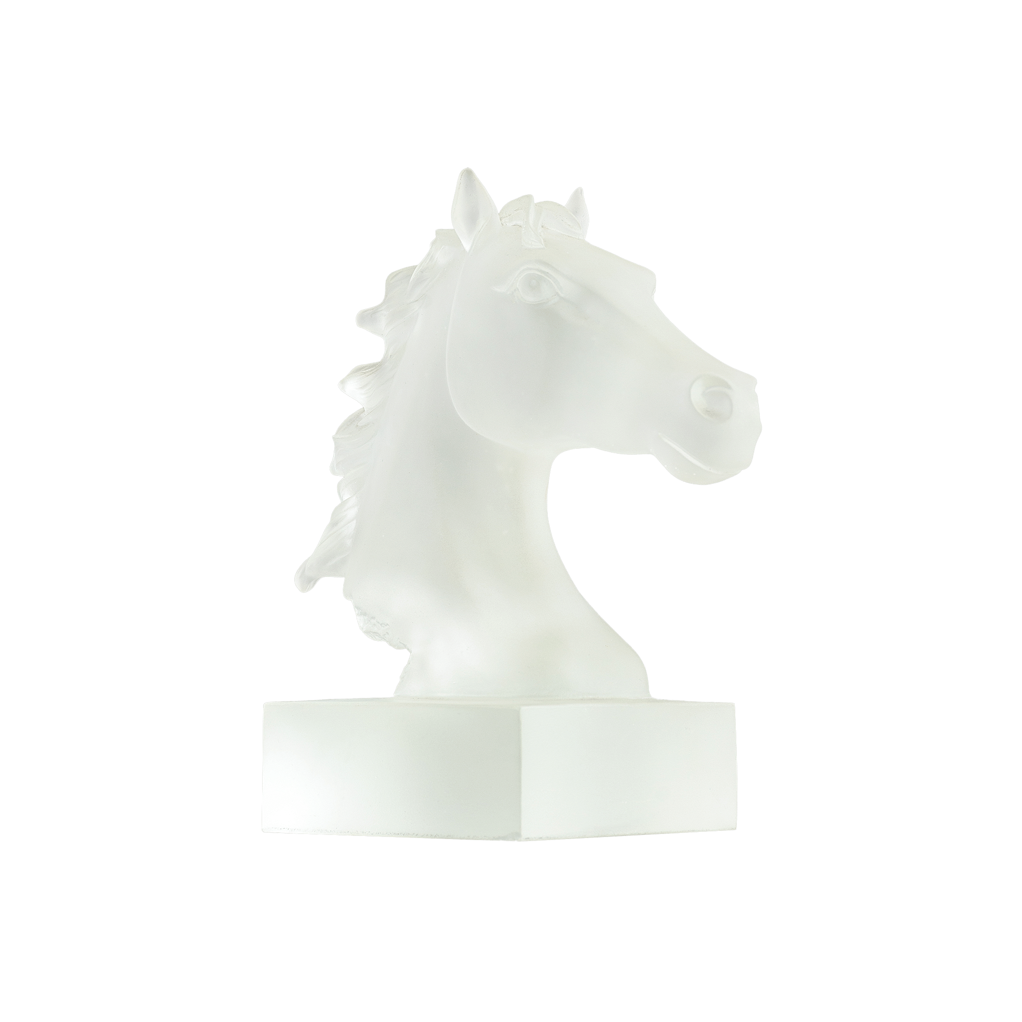 Horse Head