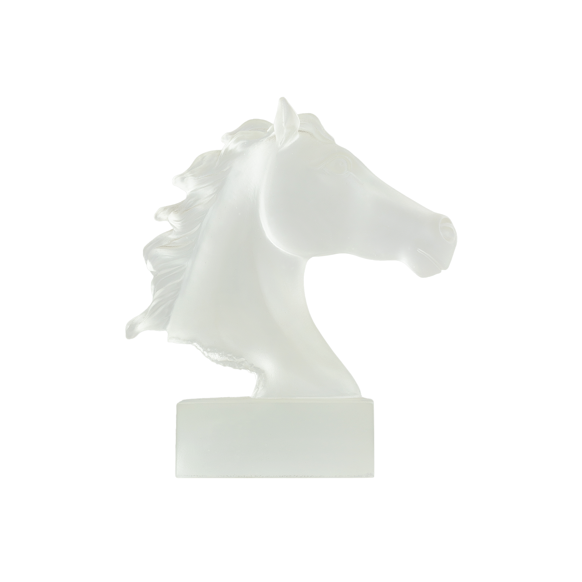 Horse Head