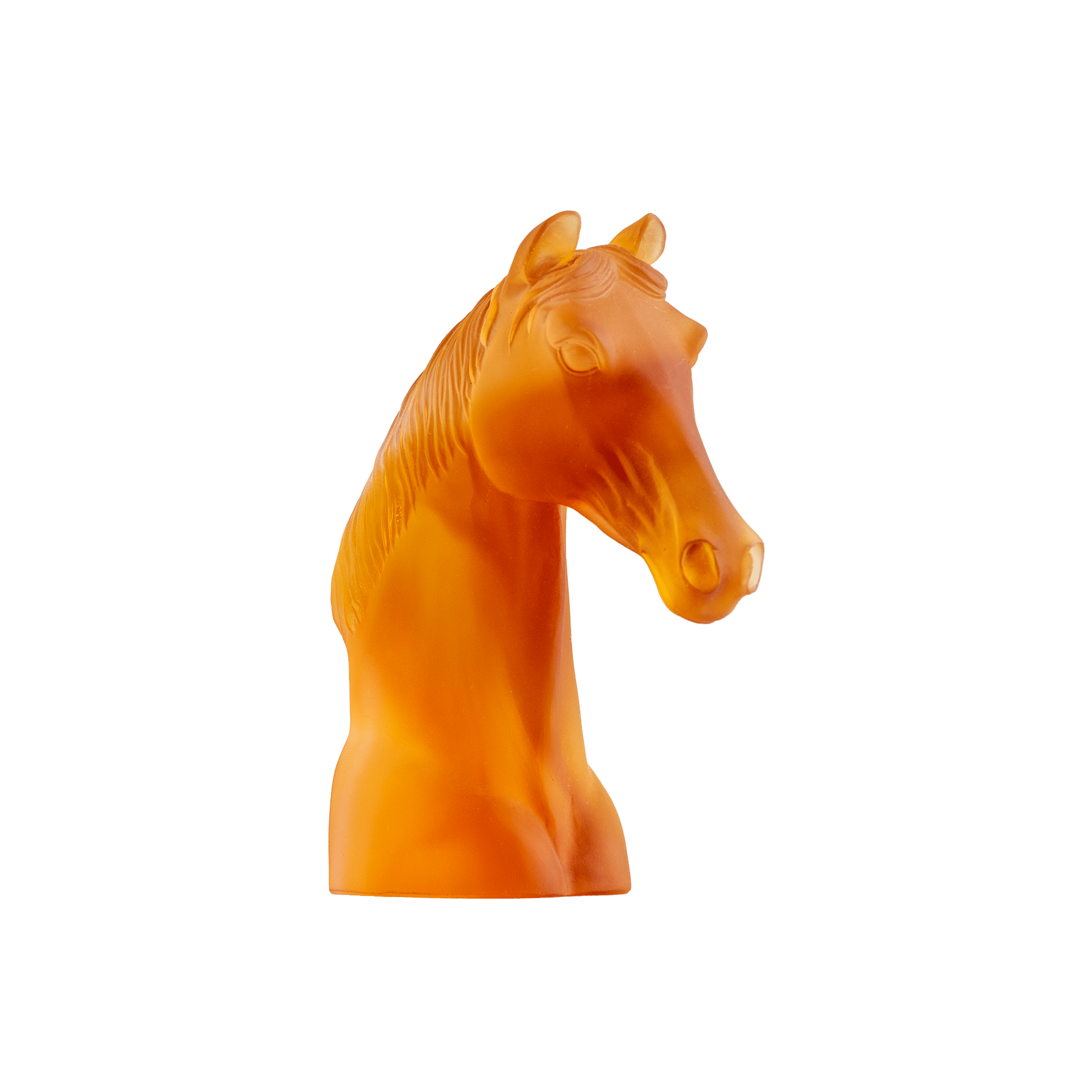 Horse Head