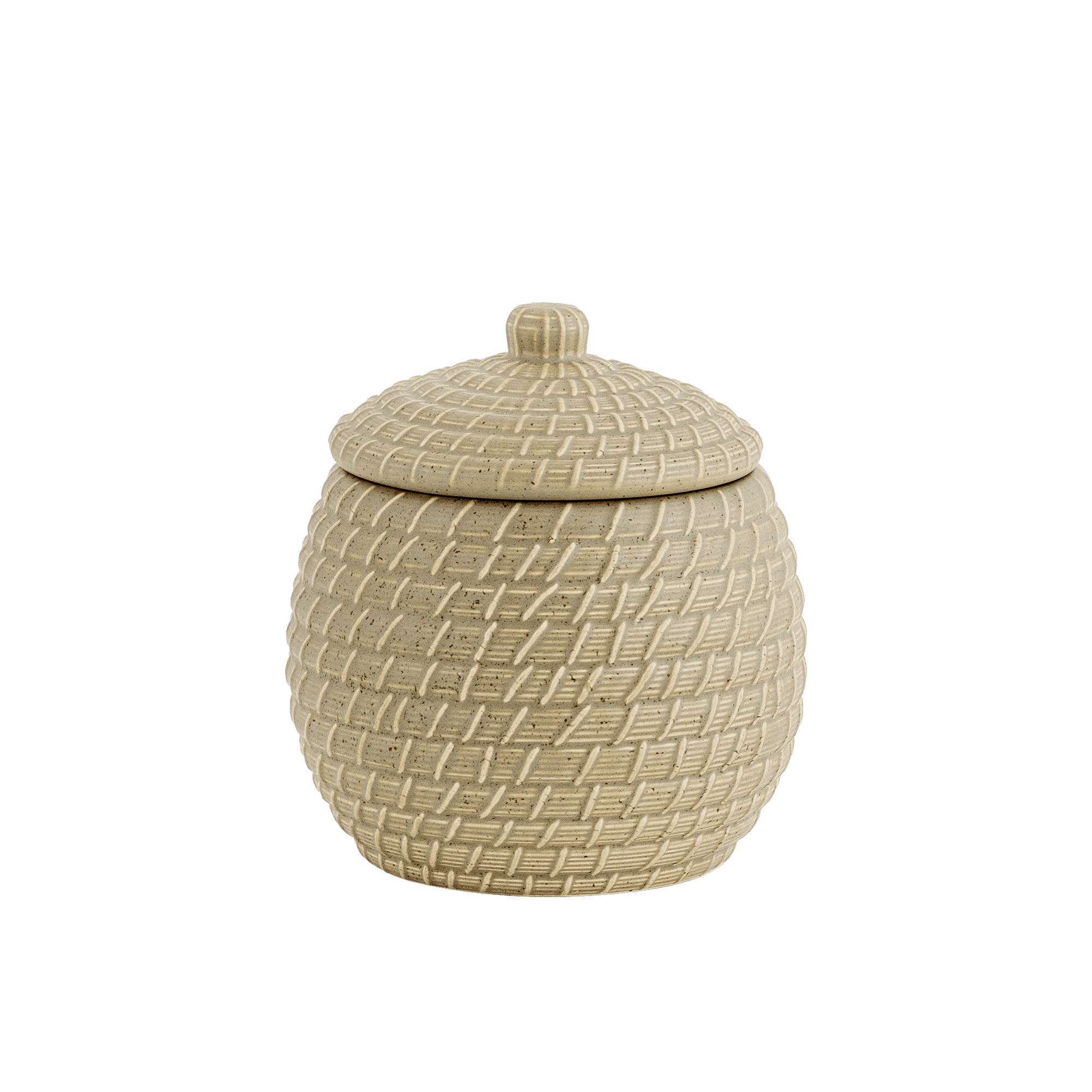 Terra Ginger Jar