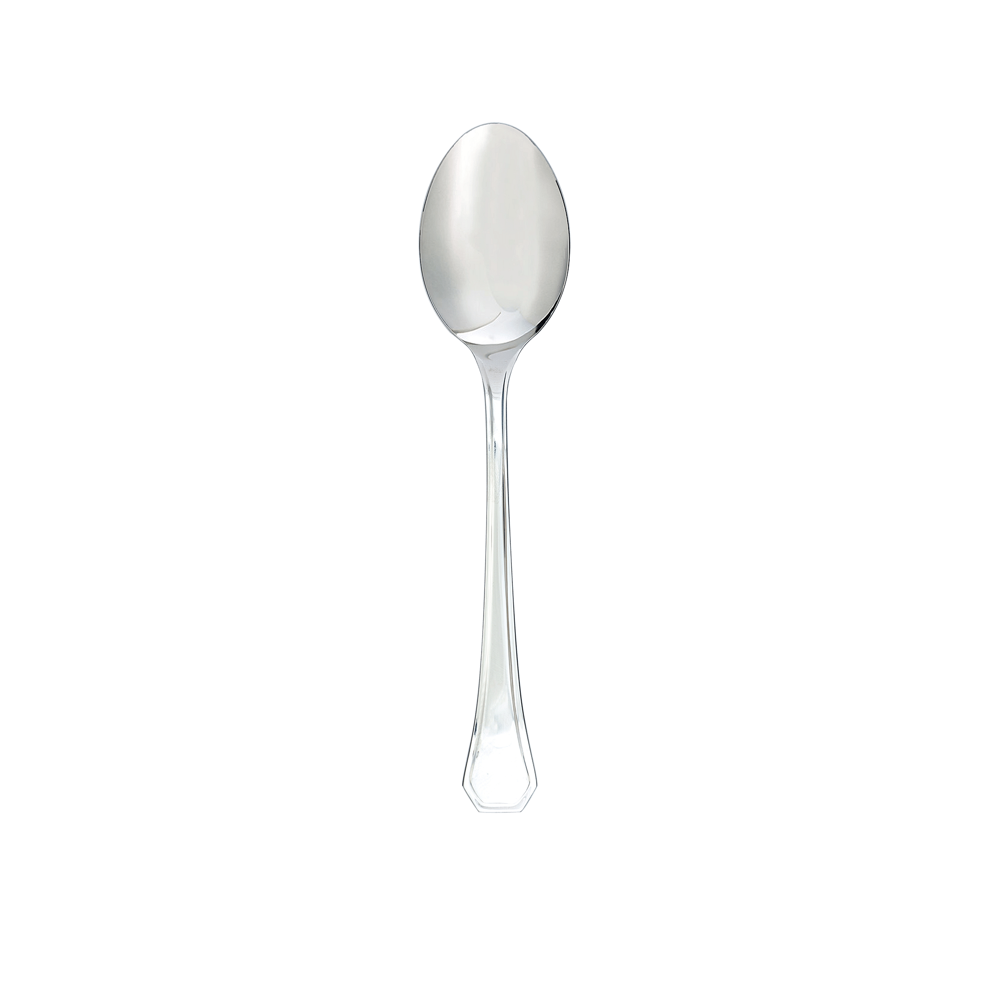 Deco Serving Spoon