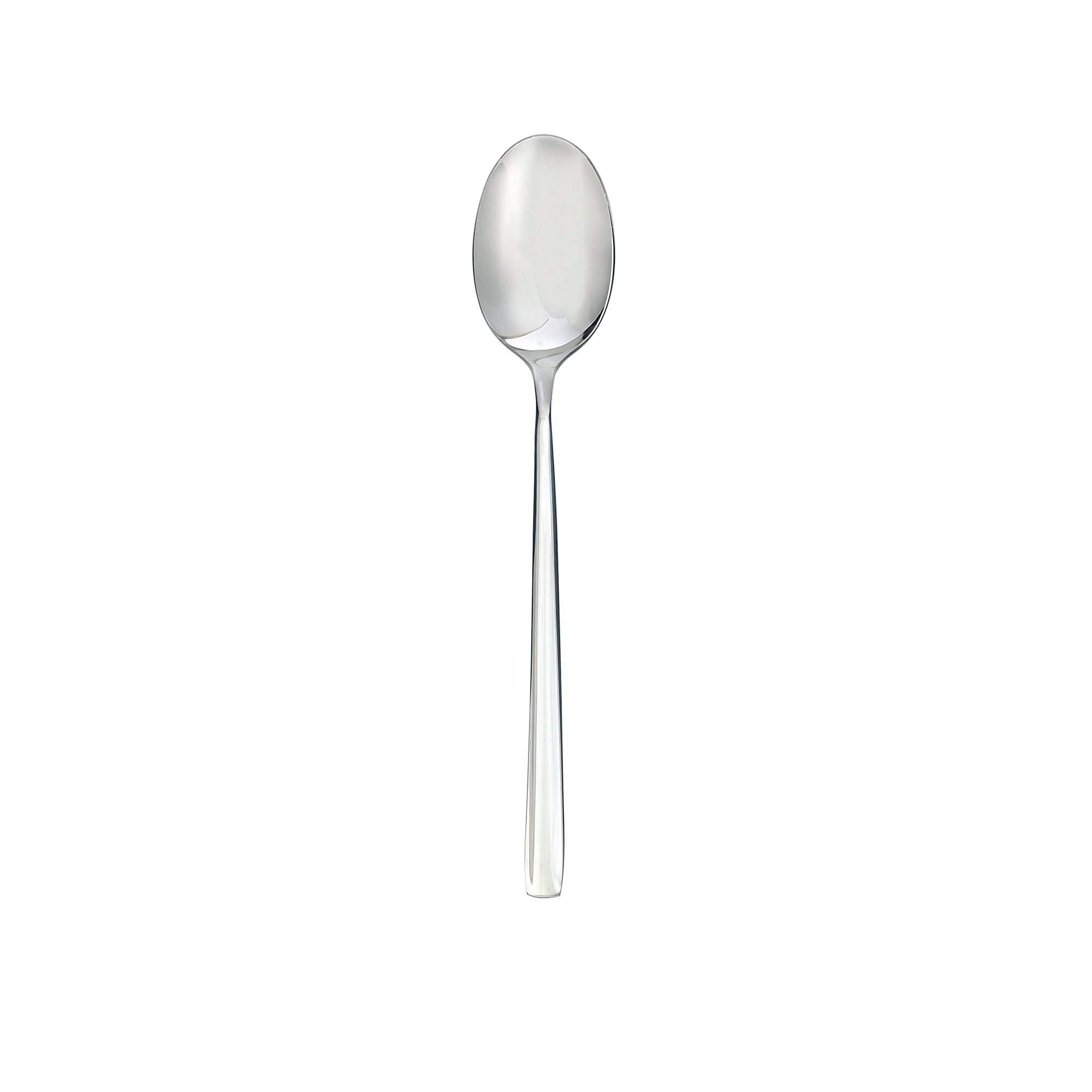 Sky Serving Spoon
