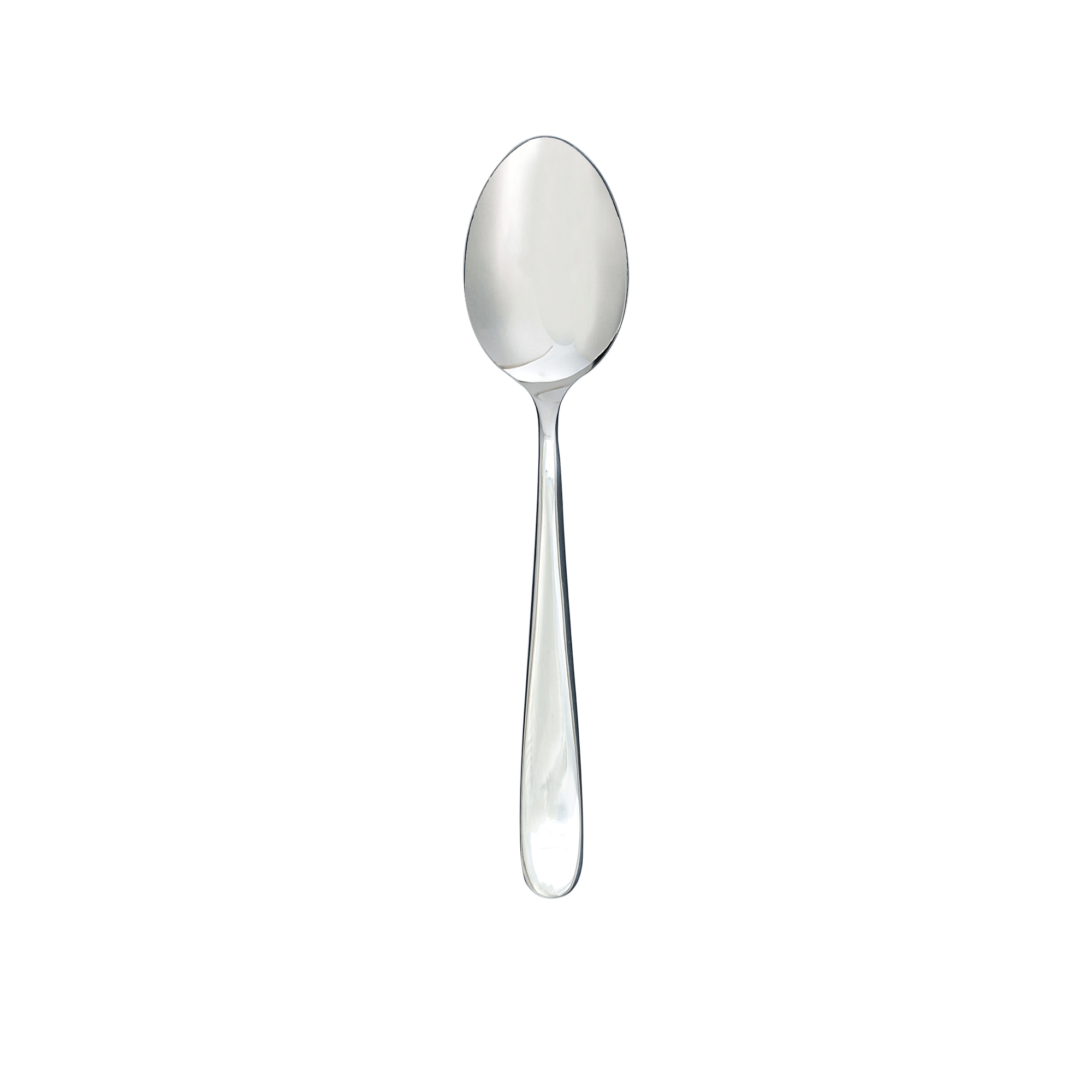 City Serving Spoon